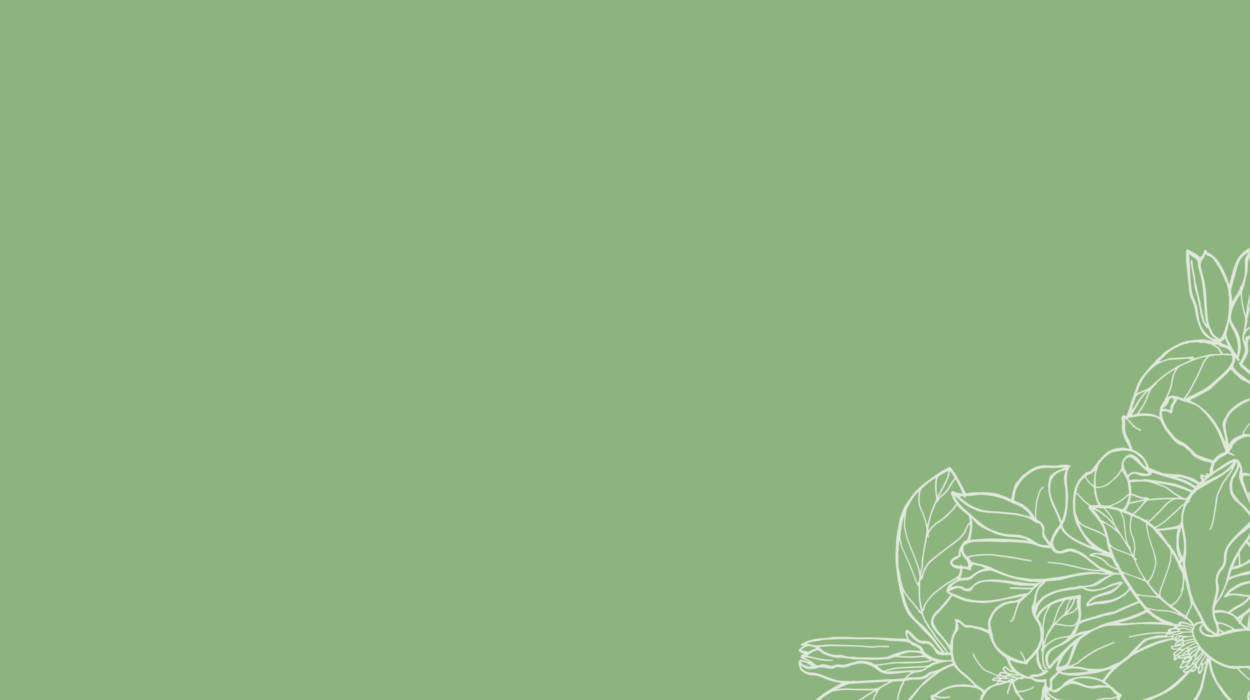 Banner5.png