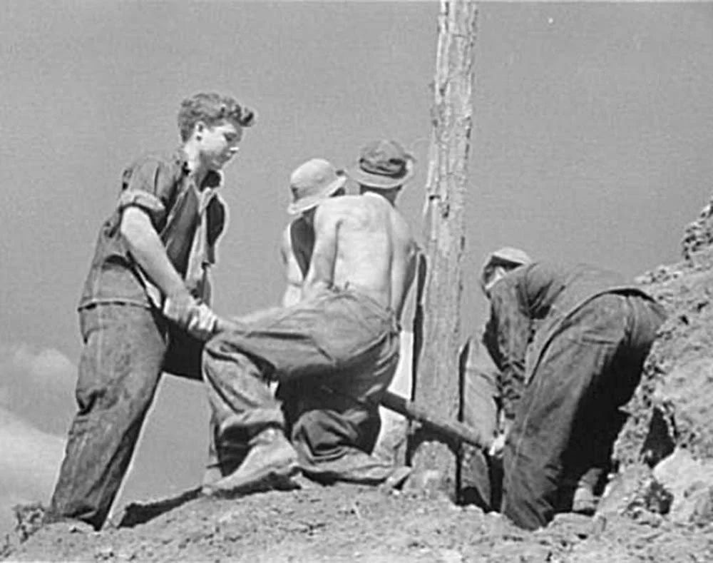 The CCC: Roosevelt’s “Tree Army” and the Making of Modern America