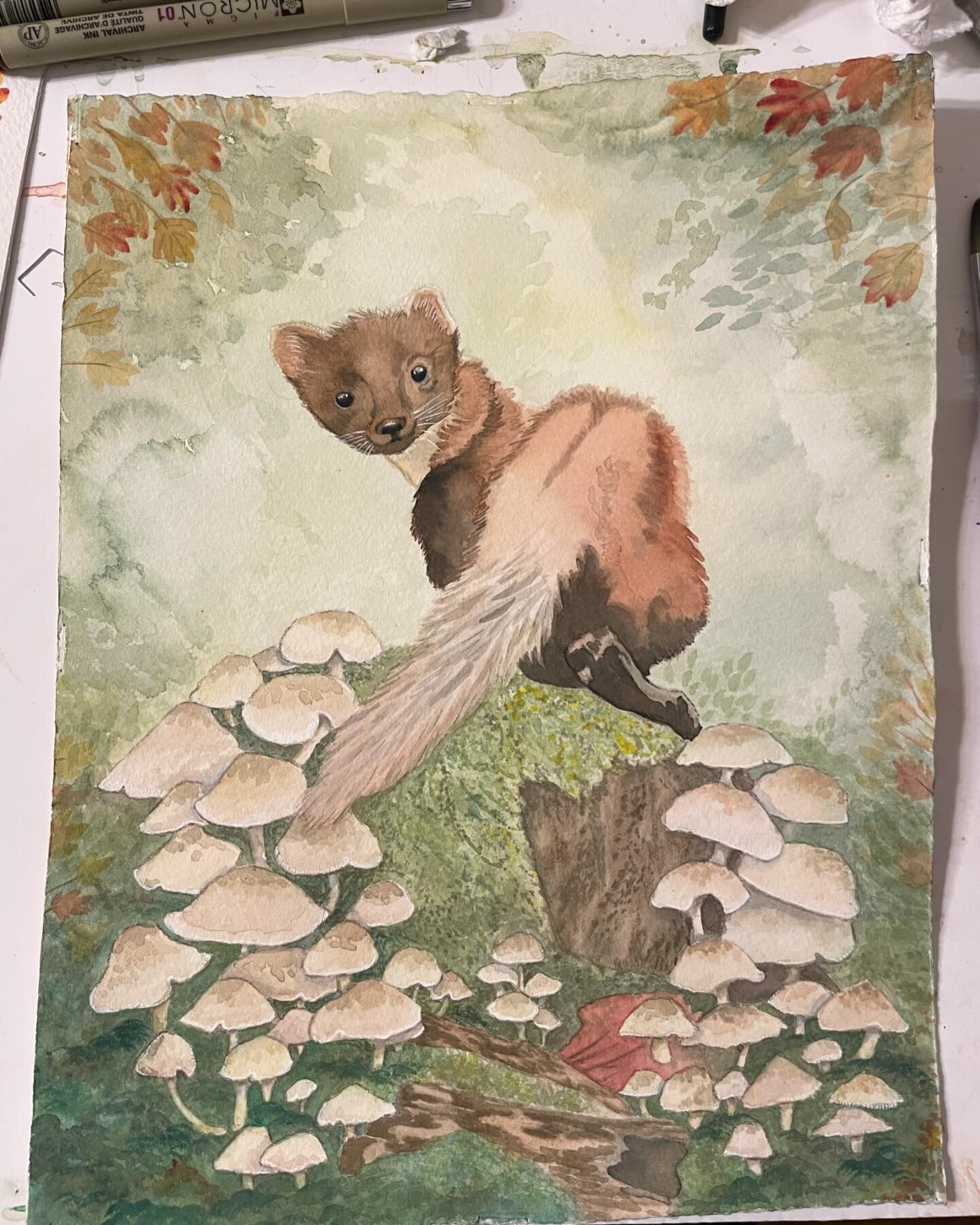 A new little pine martin made his appearance today! #ampainting #pinemartin #intheforest #watercolorillustration