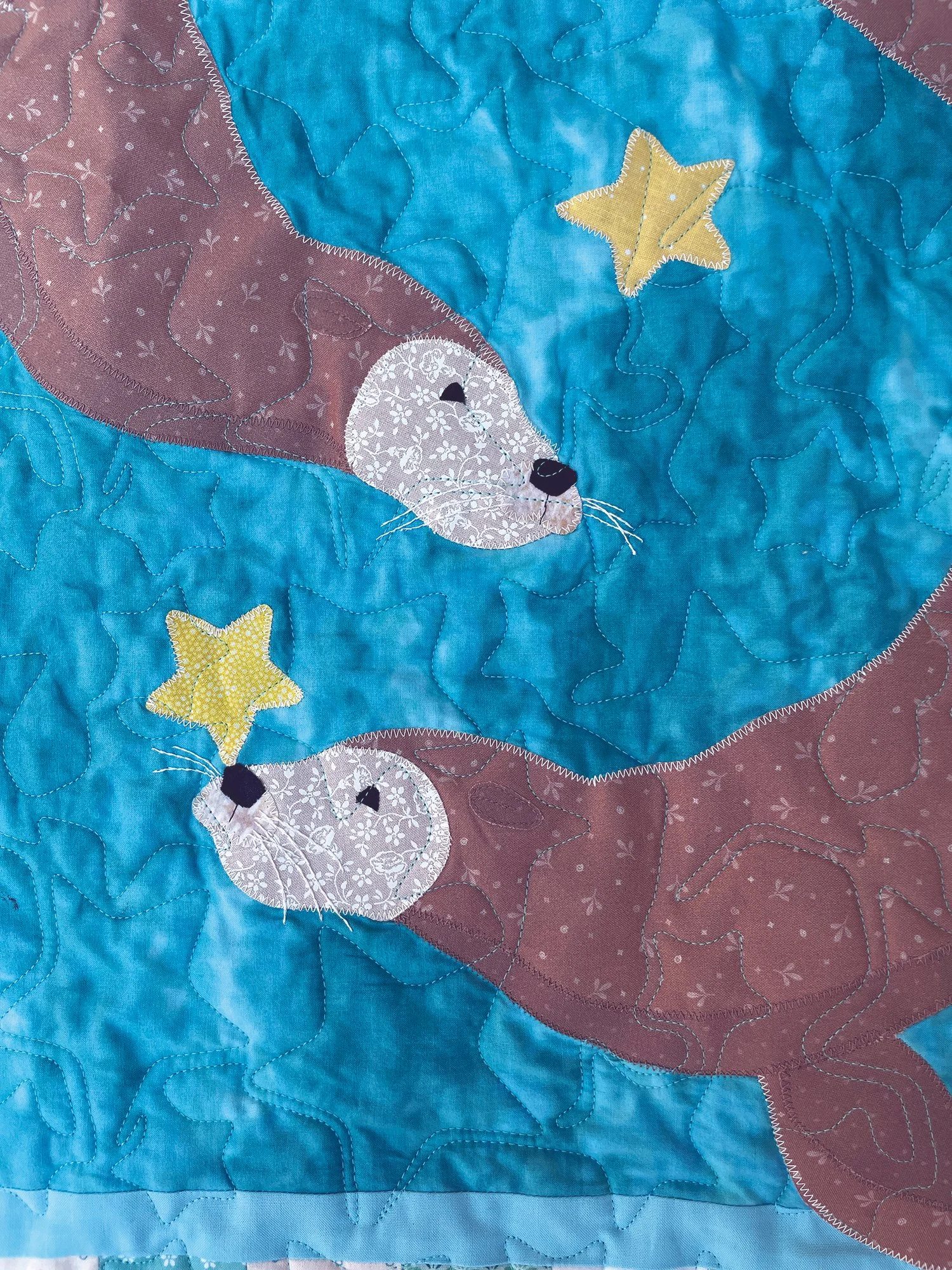 Close-up-sealions.jpg