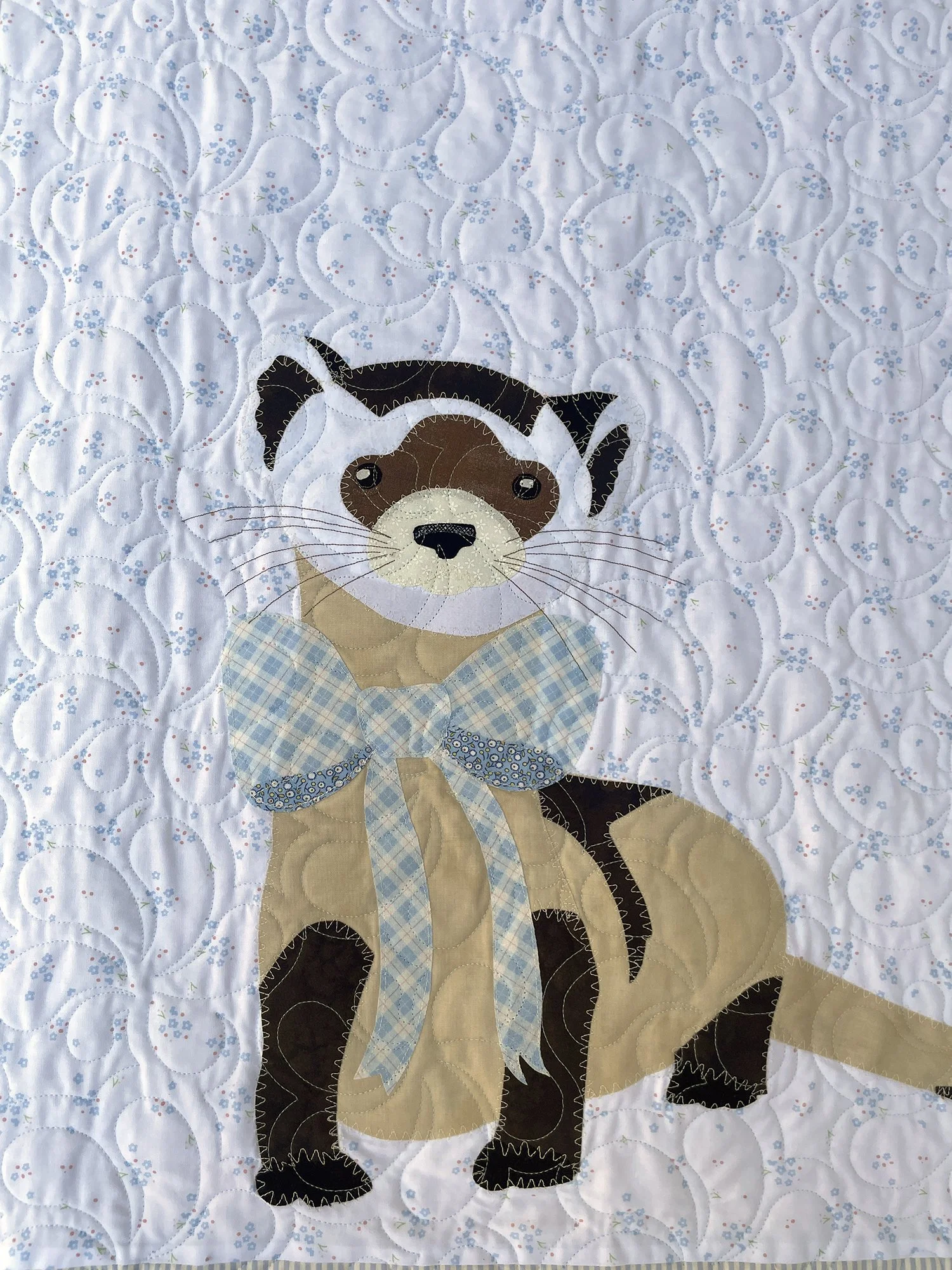 ferret-upcloseRGB.jpg