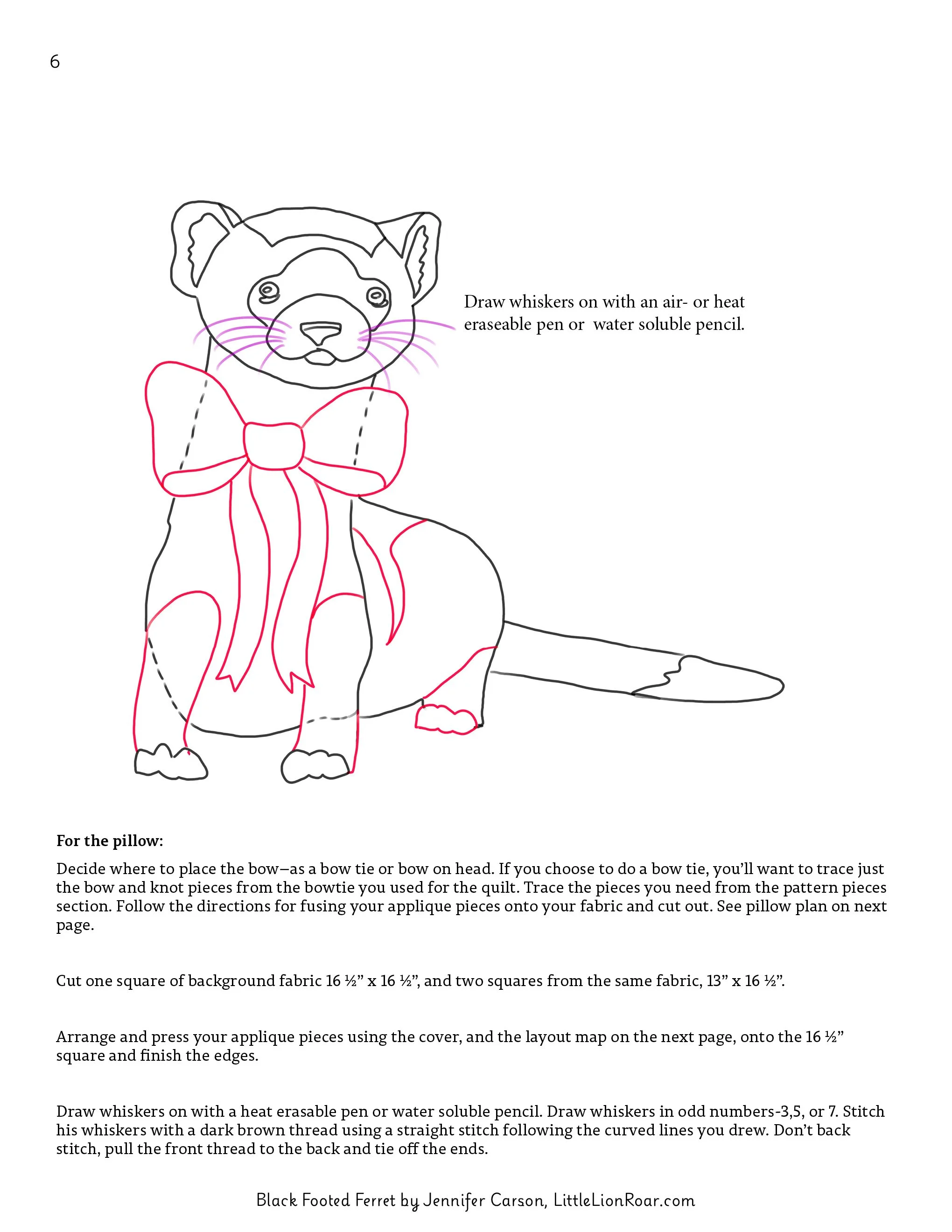 Black Footed Ferret-photos6.jpg