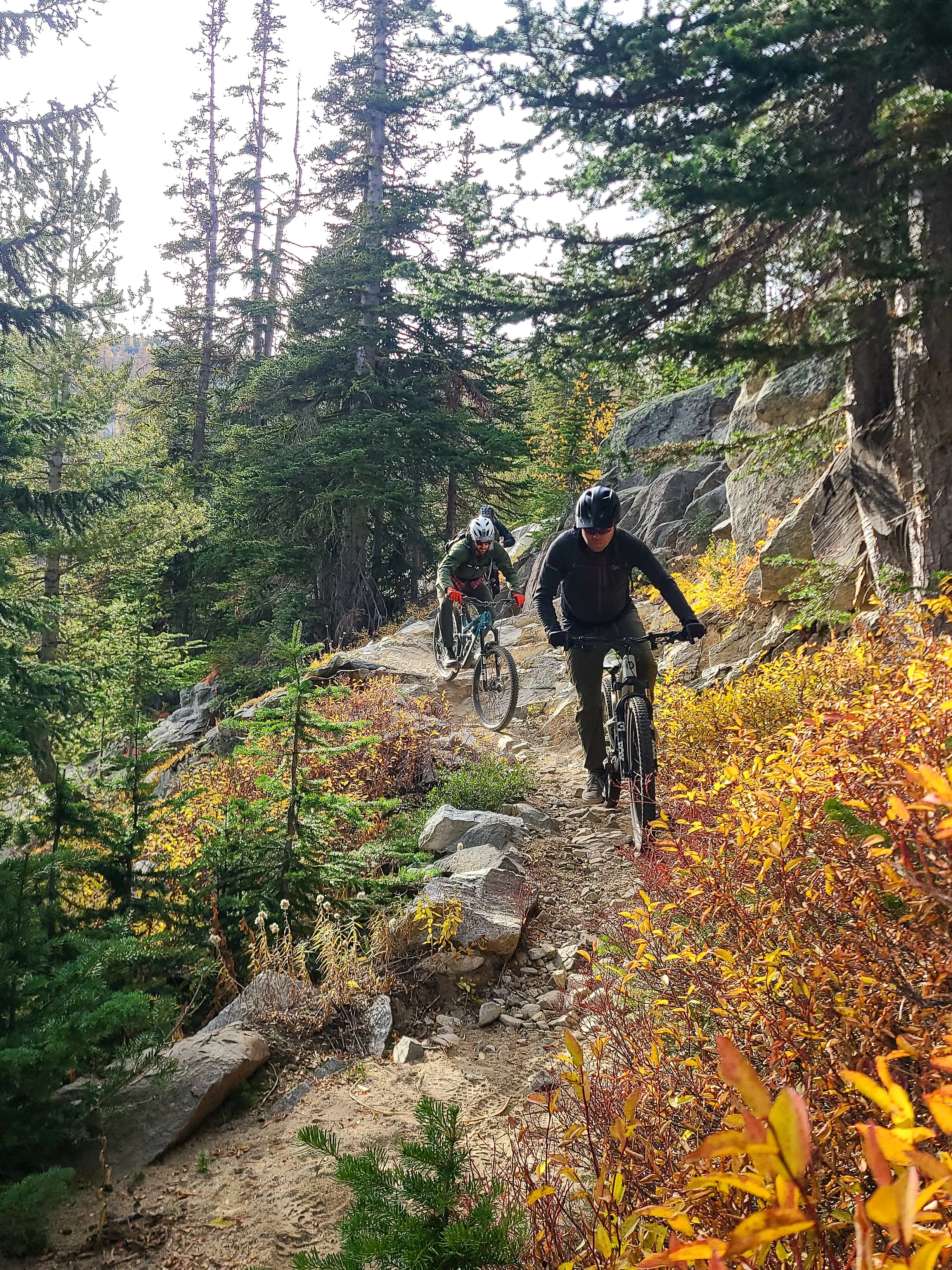 Group of Mountain Bikers riding Foggy Dew Trail near Angel's Staircase