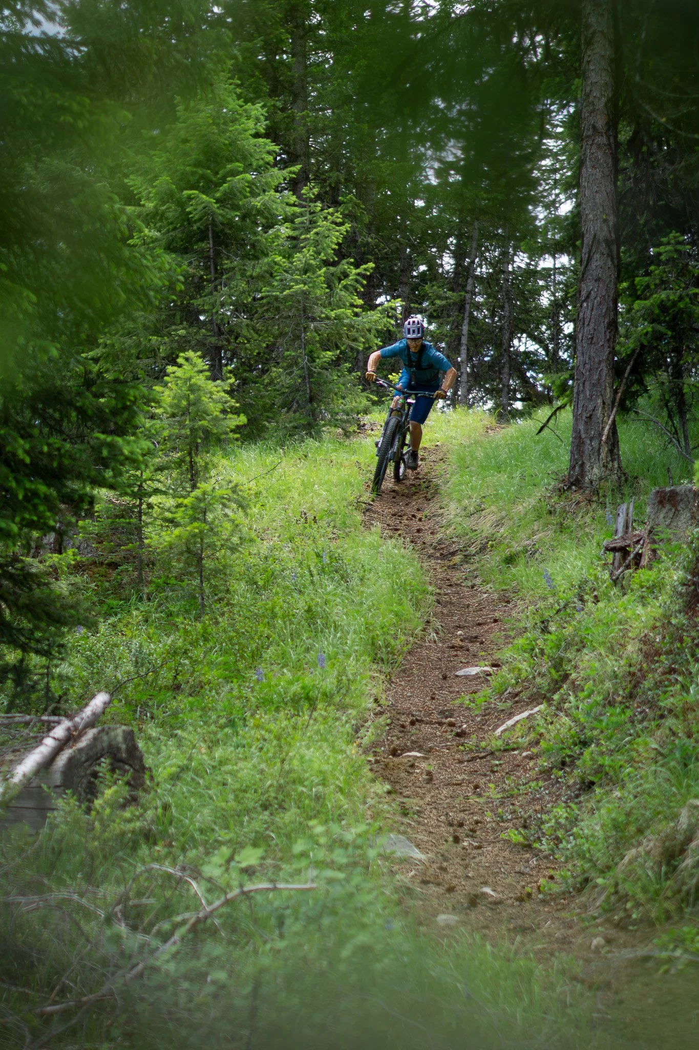 Mountain Biker on Taylor Ridge, WA