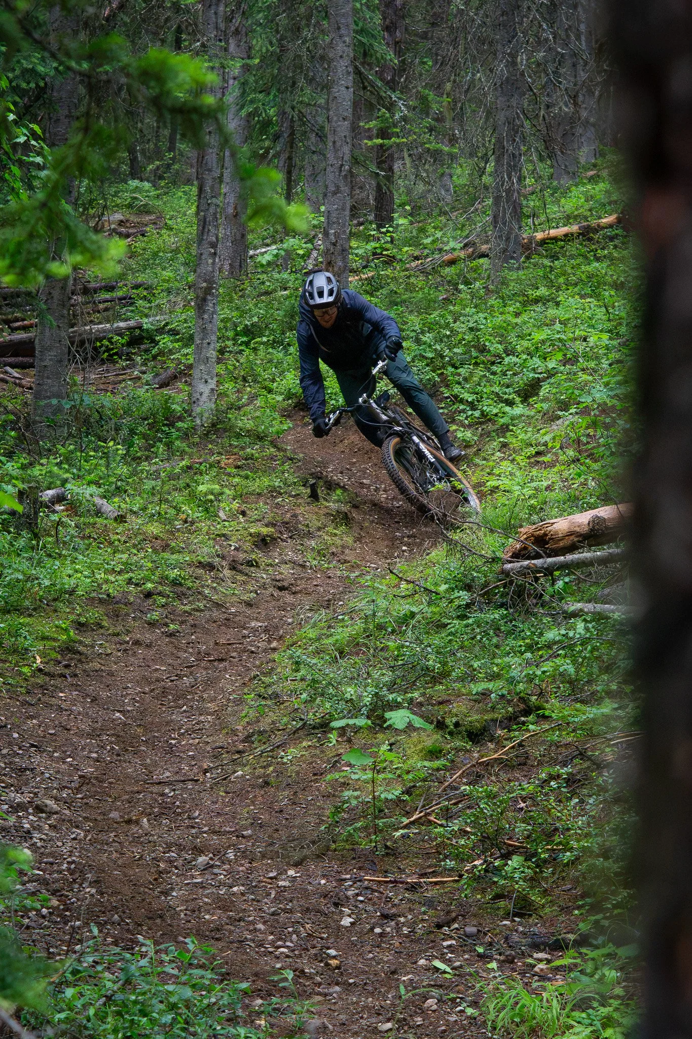 Mountain Biking Kettle Crest