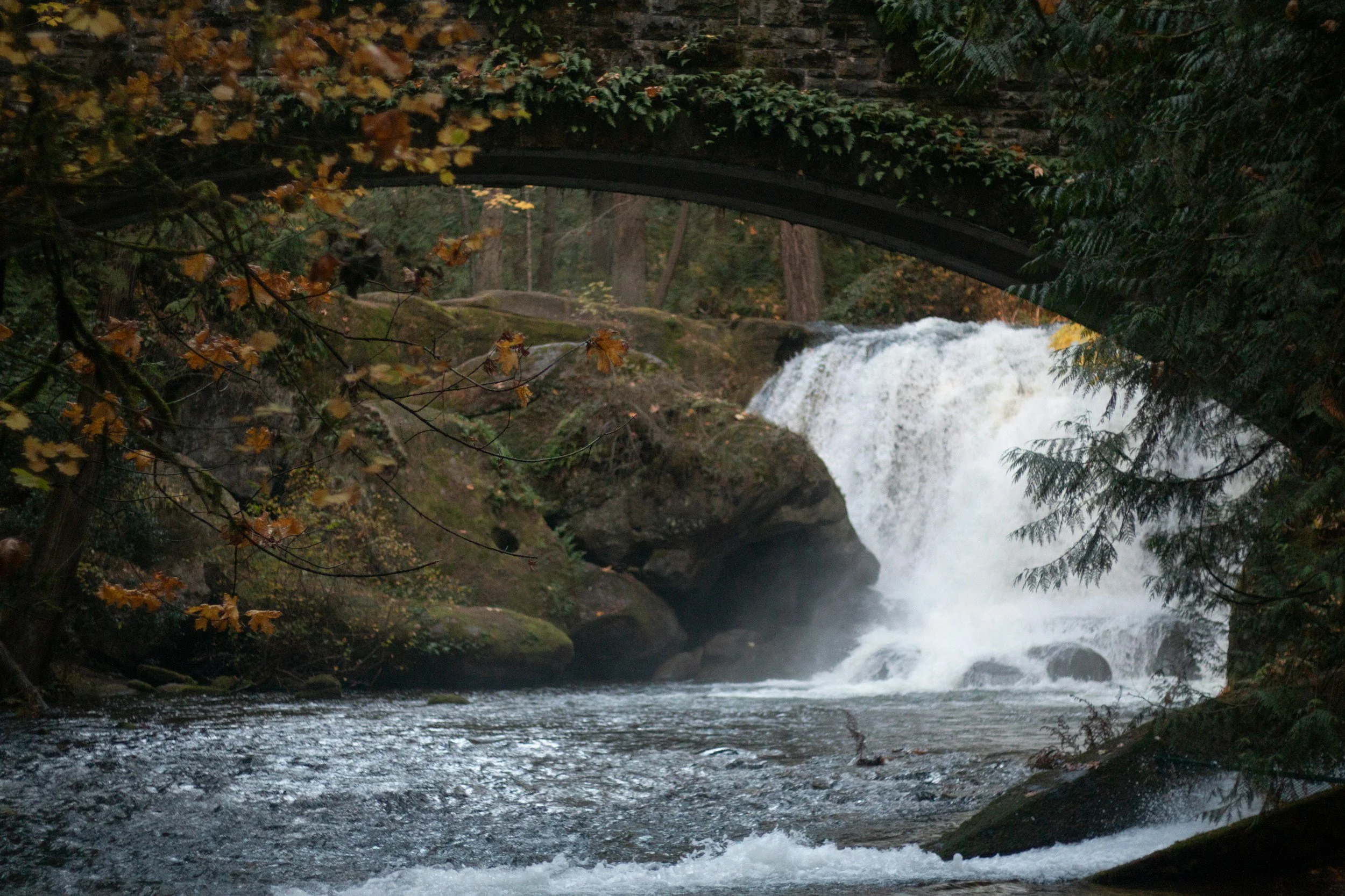 Whatcom Falls in Bellingham, WA