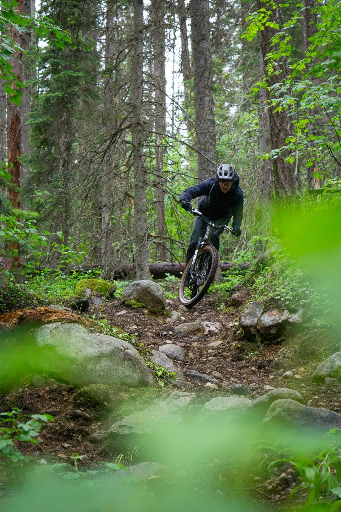 Mountain Biker on Sherman Pass Trail