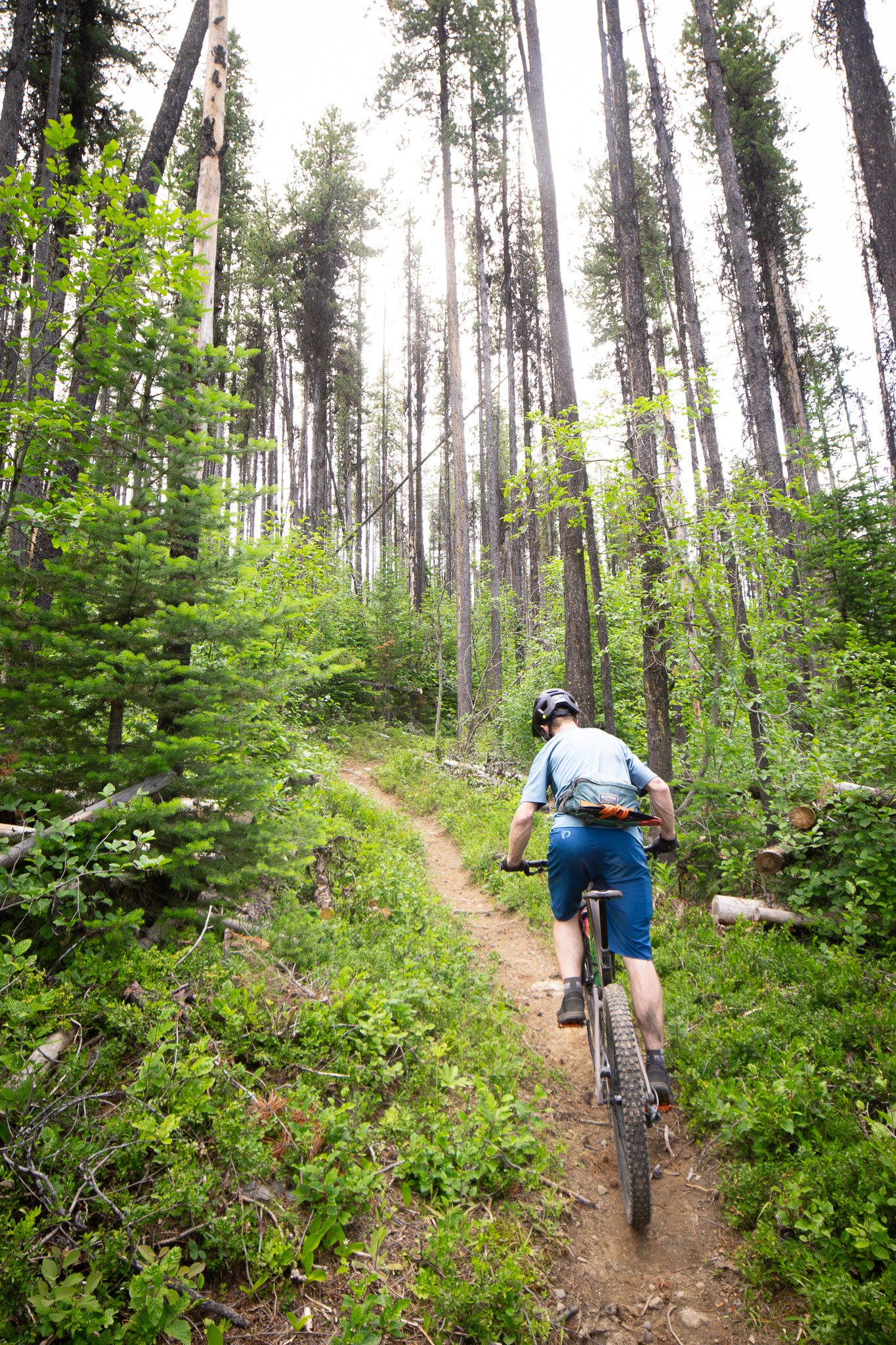 Mountain Biker on Wapaloosie trail on the Kettle Crest in Washington State