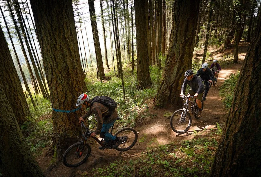 Dig Deep Tours Guided Mountain Bike Tours & Rentals in Bellingham, WA