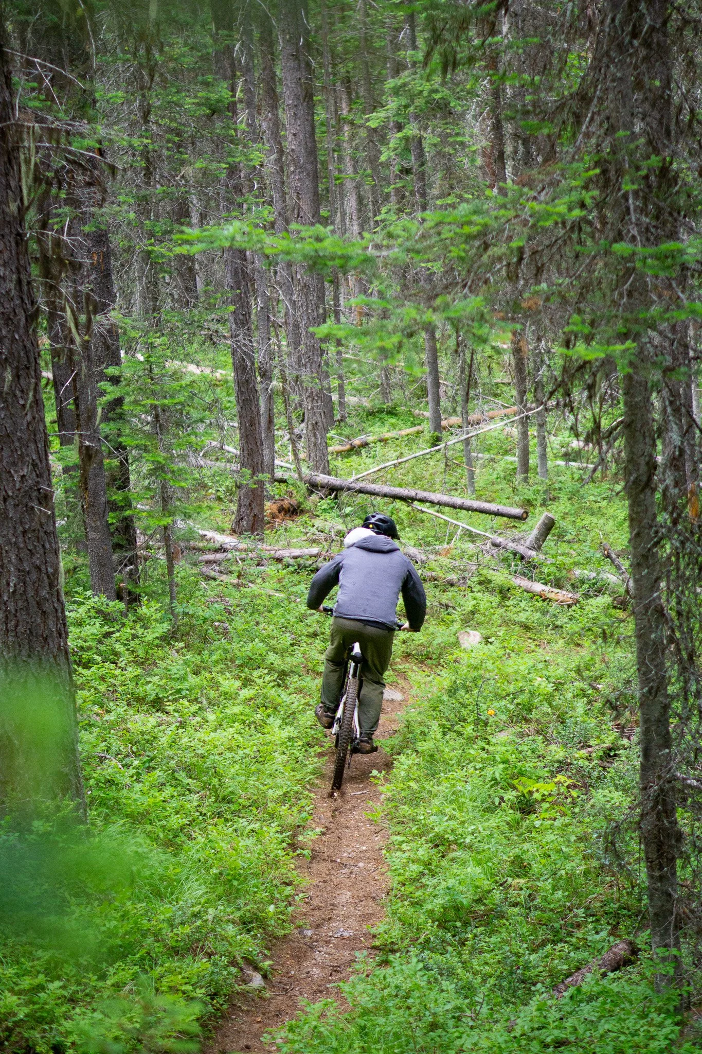 Mountain Biking Sherman Pass Trail, Kettle Crest