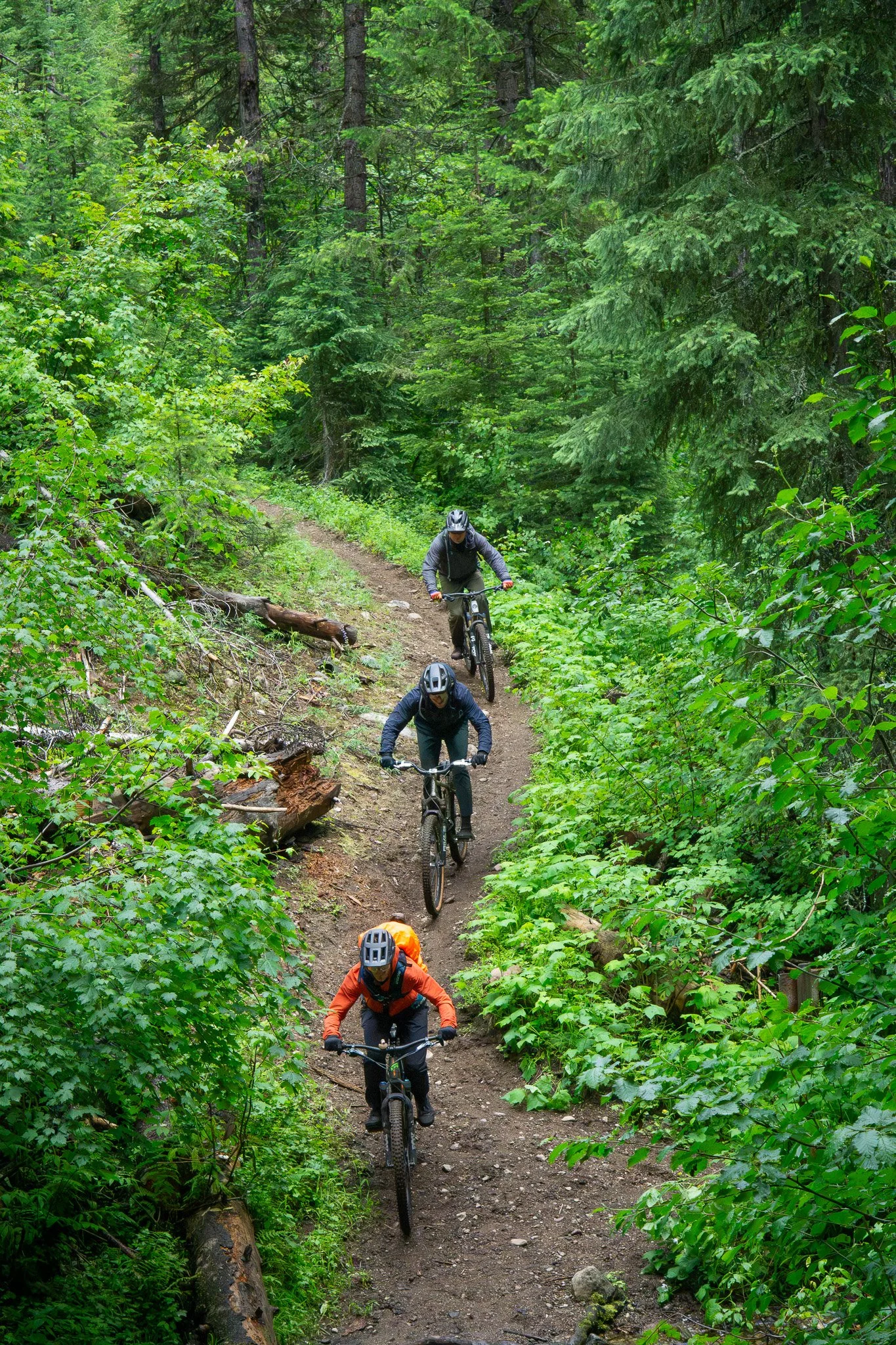 Guided tour on Sherman Pass Trail in Republic, WA