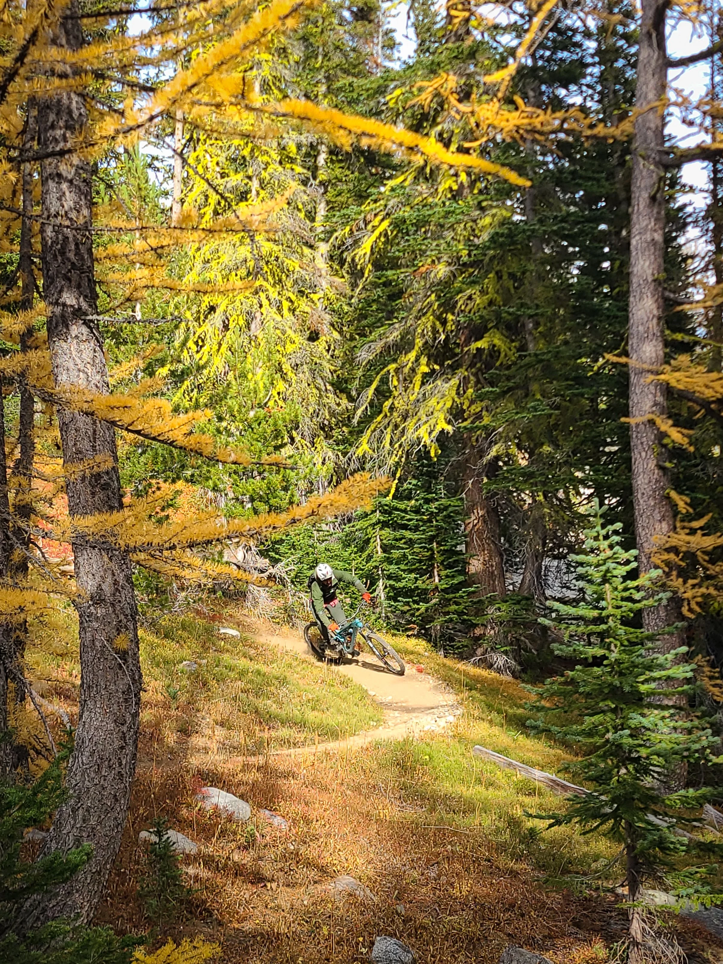 Mountain Biker riding Foggy Dew Trail in the Methow Valley