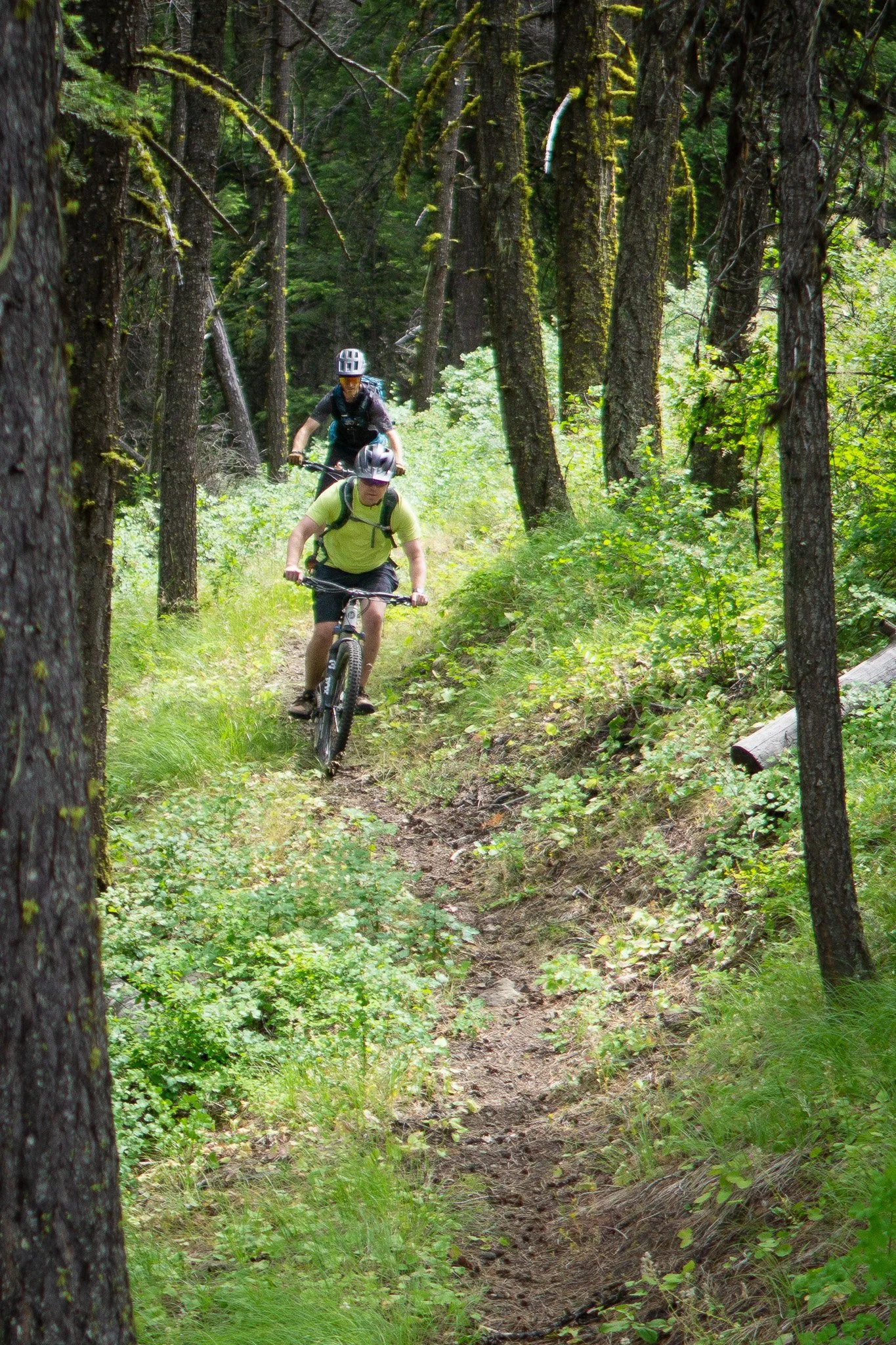 Mountain bike guiding Gibraltar Trail, Republic, WA