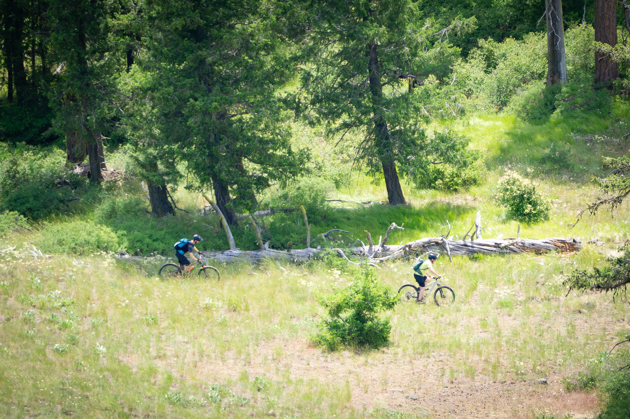 Guided Tour on Gibraltar Trail Republic, WA