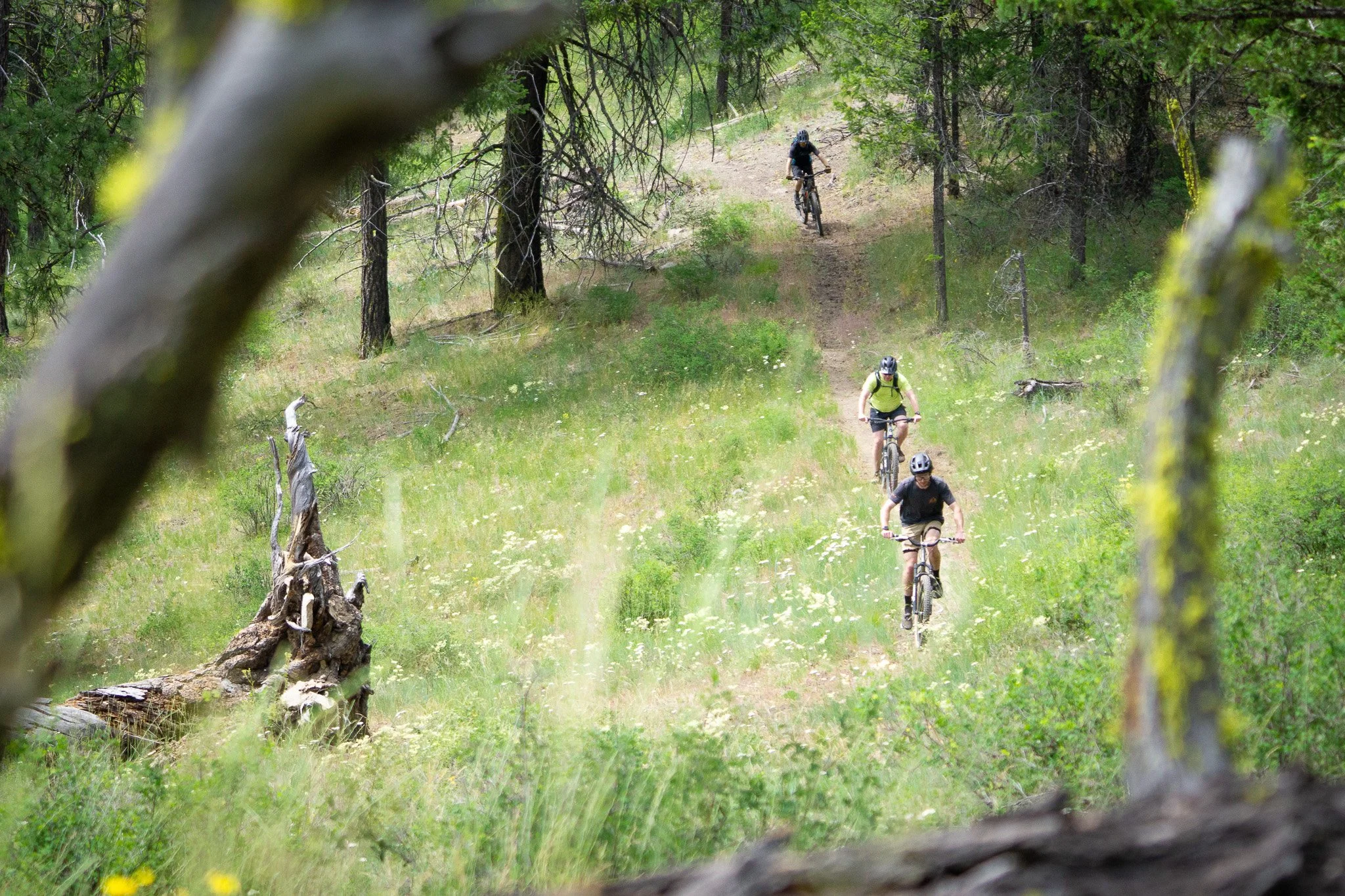 Group of mountain bikers on Gibraltar trail in Washington State
