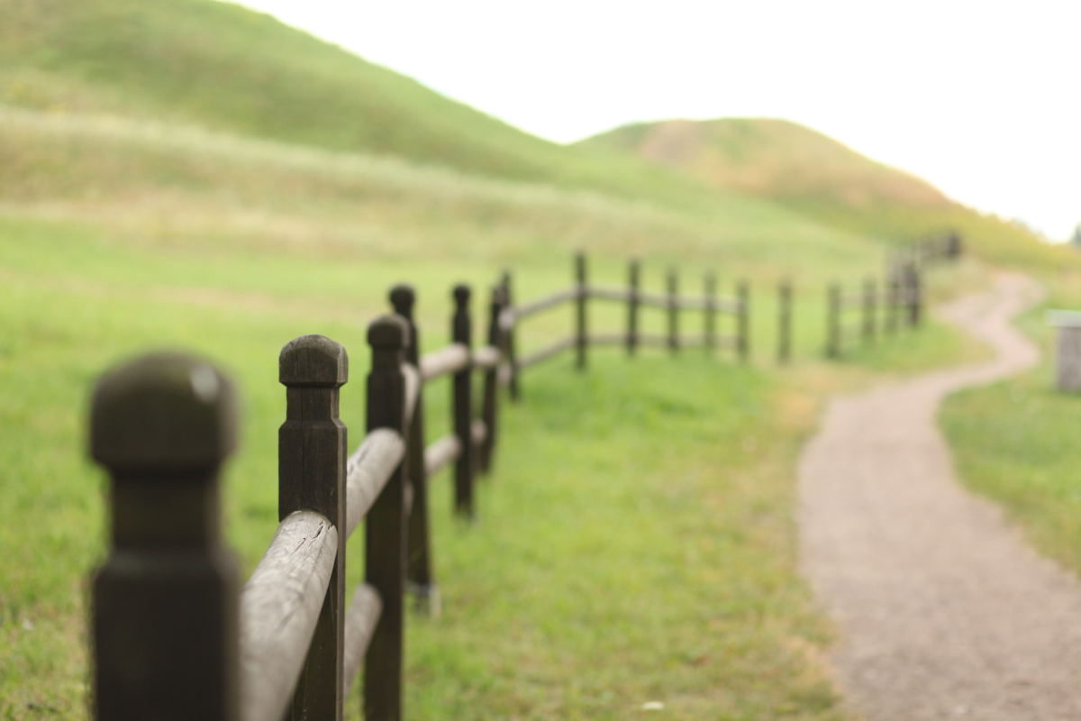 Blessed are Those Who Get Off the Fence…Oh! And What I’m Learning About Conflict