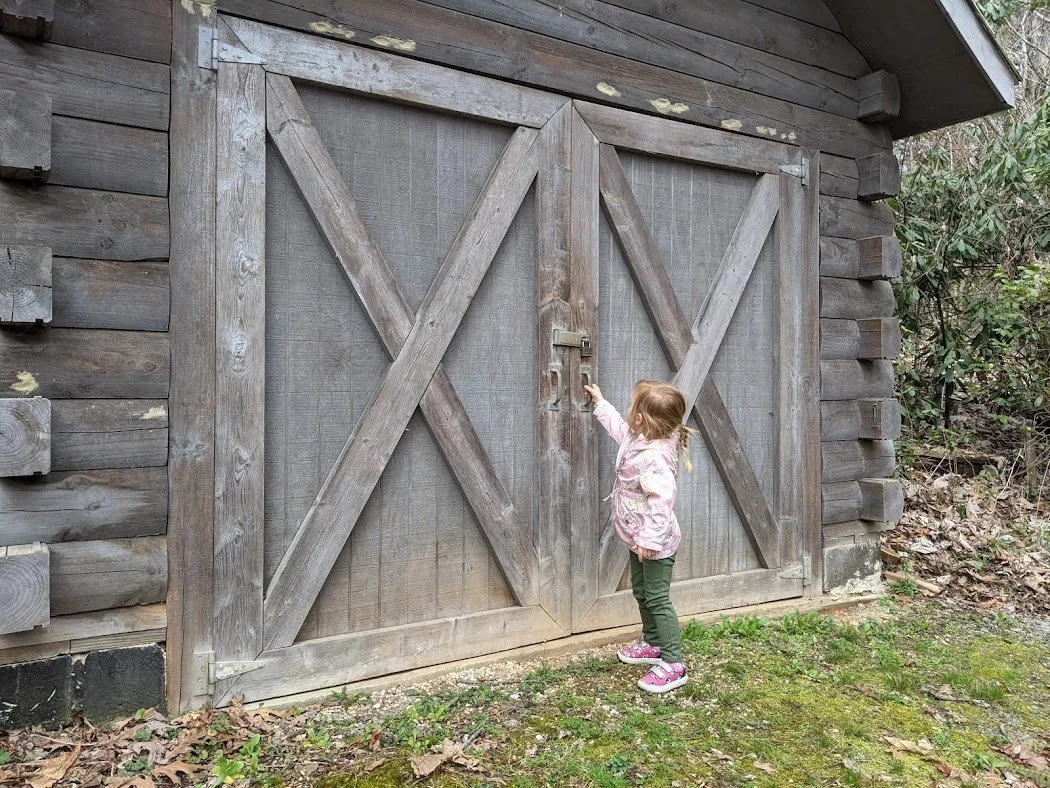 Ambition, Evolution, and the Word of the Year…Oh! And Why I Flinch When My Toddler is Holding a Doll
