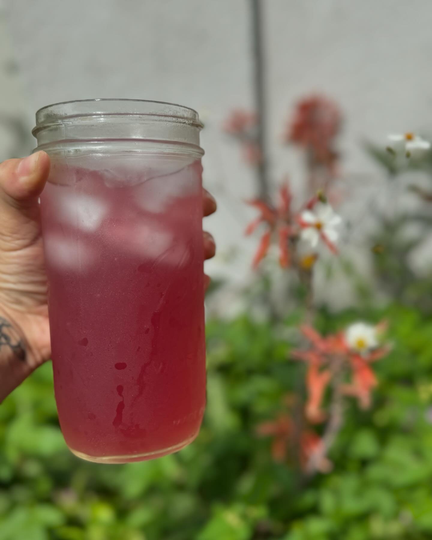 Herbal tea for hot times 🔥☀️😵&zwj;💫

It&rsquo;s Aries season, the fire sign ruled by Mars initiating us into action. 
Anyone feel a little spicy lately, irritable, frustrated? Astrology aside, these are times where it is totally righteous to feel 