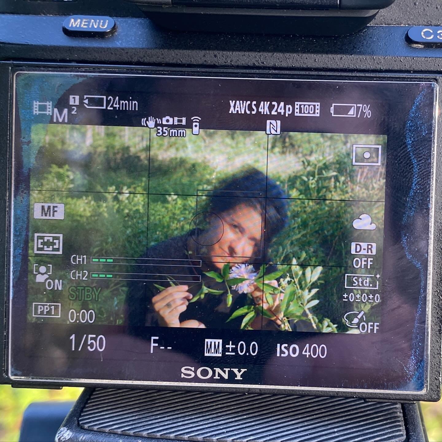 Did you know that with our mini course you get a plant walk video with @theyspeakdoyoulisten ? 

What you get when you sign up:

🌿 A plant walk video with LeAnn 
🌿 A Maypop Materia Medica ( a PDF of information all about the plant) 
🌿 At the end o