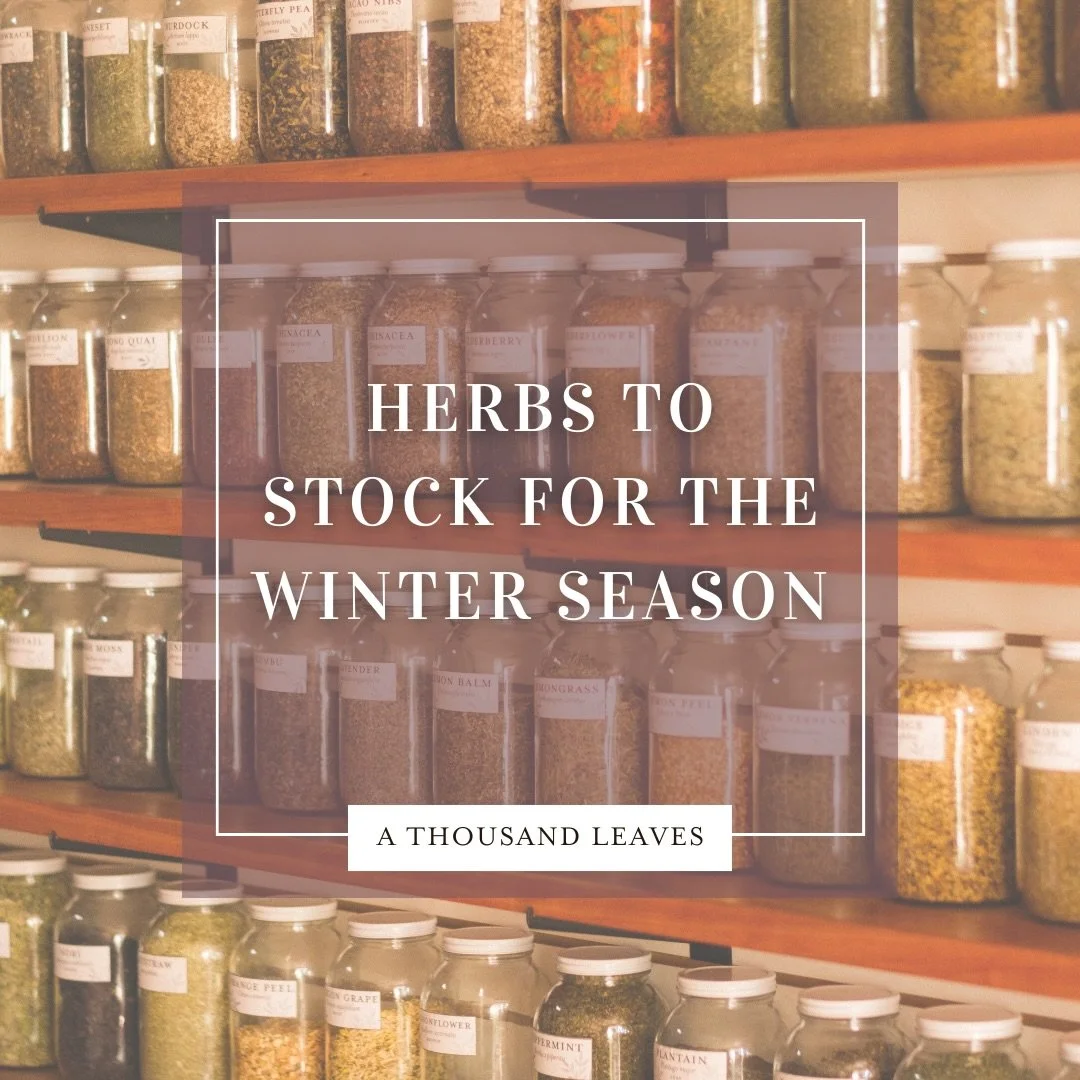 As the weather shifts back into cold in these next couple days, we wanted to suggest some herbs and categories of herbs to consider stocking up on!

And a reminder that there is no-one-size-fits-all herb!Each persons health is unique, and every herb 