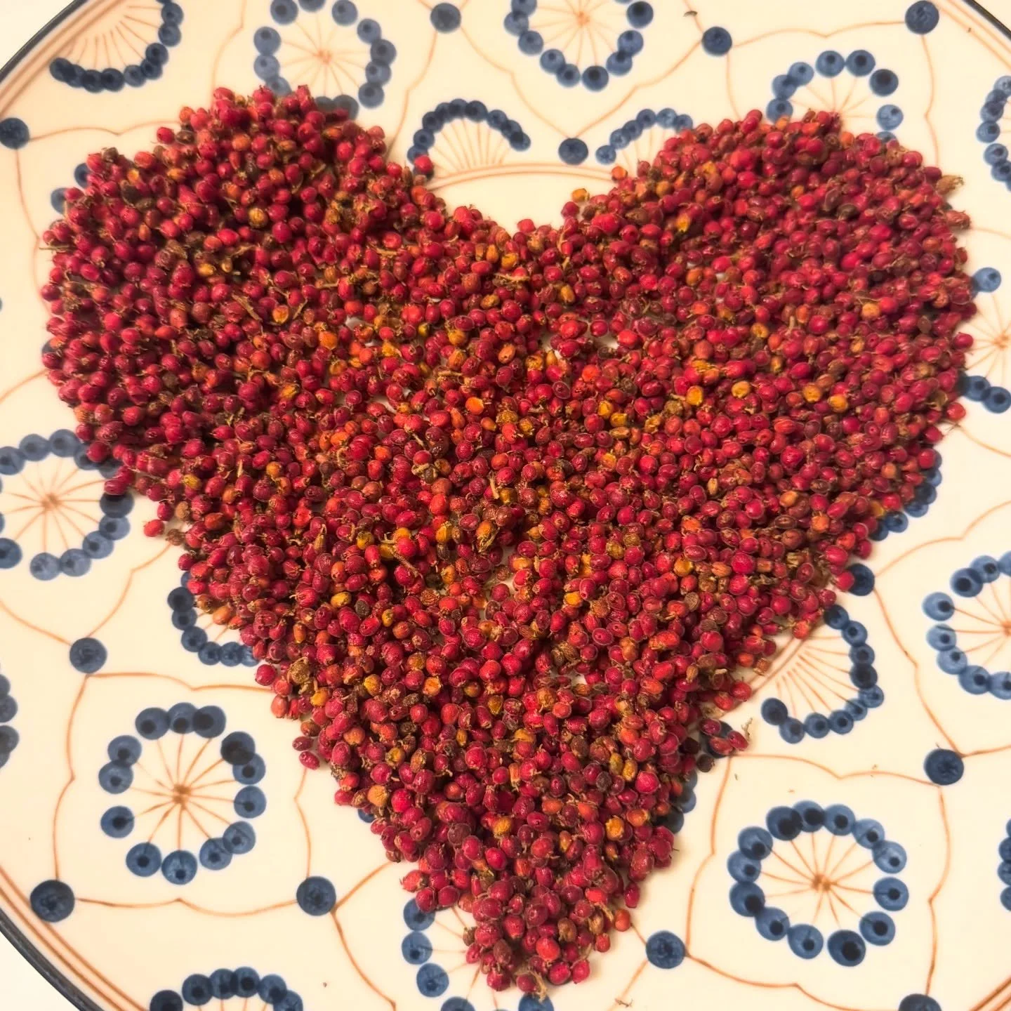 Wishing everyone out there however much love they need today!
We are open 12-6pm if anyone needs some heart support, cacao, or anything that might feel supportive for you or a loved one. 
🫶🏼
Pictured is local sumac that we use in our heart elixir❤️