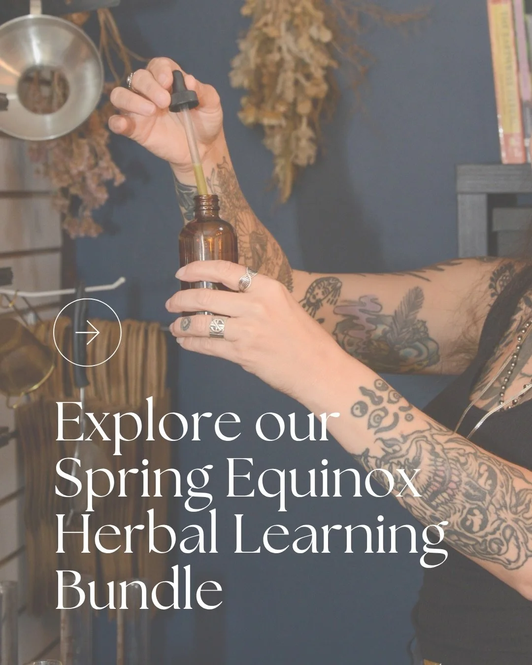 What&rsquo;s in the bundle?
⬇️

🌱our foundational Beginner&rsquo;s Herbal Program 
🌱a 3 part Botany course  🌱all current herbal mini courses 🌱any future mini courses added this year

Over $300+ of additional herbal education included with our sel