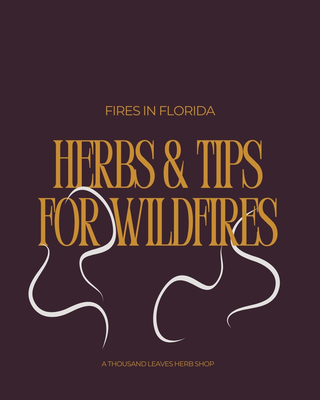 FIRES IN FLORIDA? Yep.
We are in pretty bad drought right now, and even still, this is a dry time of year and this can significantly heighten the risk of wildfires in Florida.

This past week we have had several around Gainesville. My house was even 