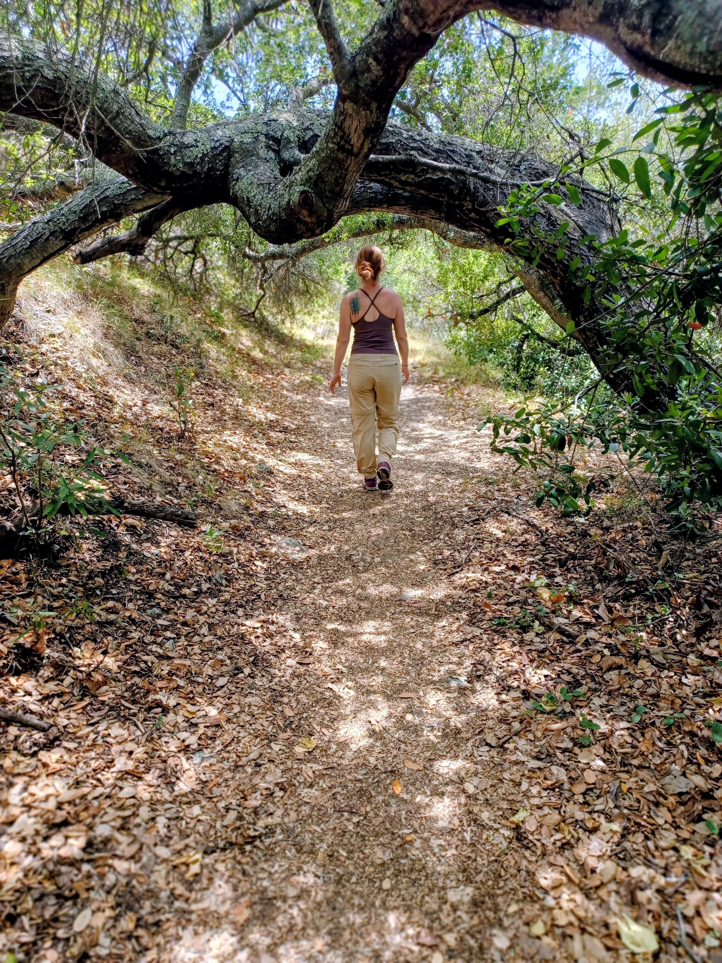 oak hiking girl path