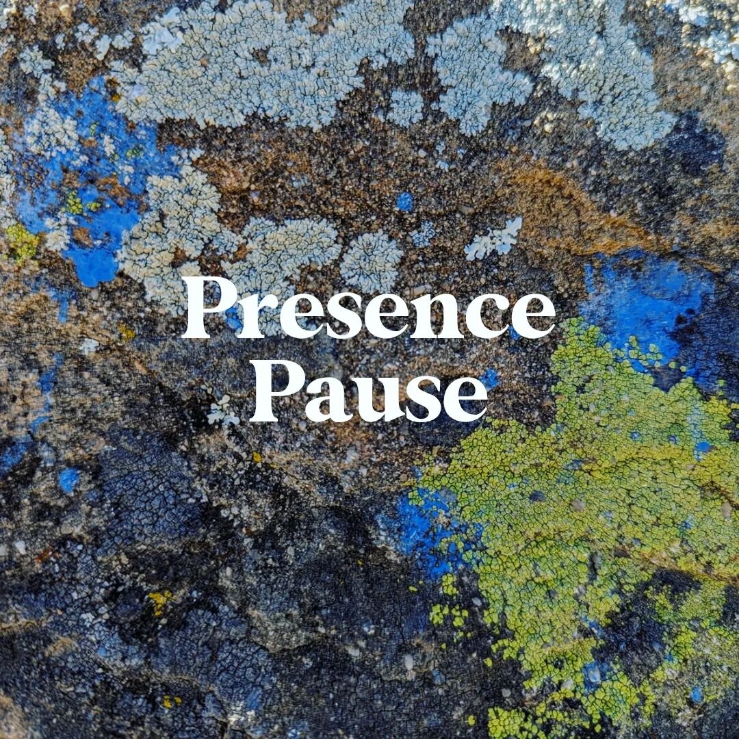 ✨ Take a little PP break: A Presence Pause can be as little as a single deep breath, a walk around the block, or as long as a 20 minute seated meditation practice. 

🧘&zwj;♀️ Take a moment to release any unnecessary tension in your body. Notice grav