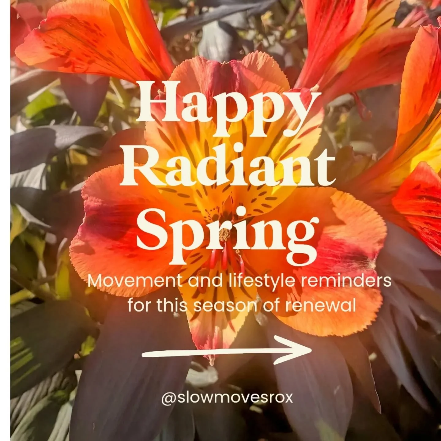 🌺 Spring is here! Seasons shifting always feels like an opportunity to begin again for me. Not a complete overhaul, but perhaps a little soft shift and opportunity to refocus priorities.

☀️ More light 
🥾 More movement 
🌬️ More space to breathe 

