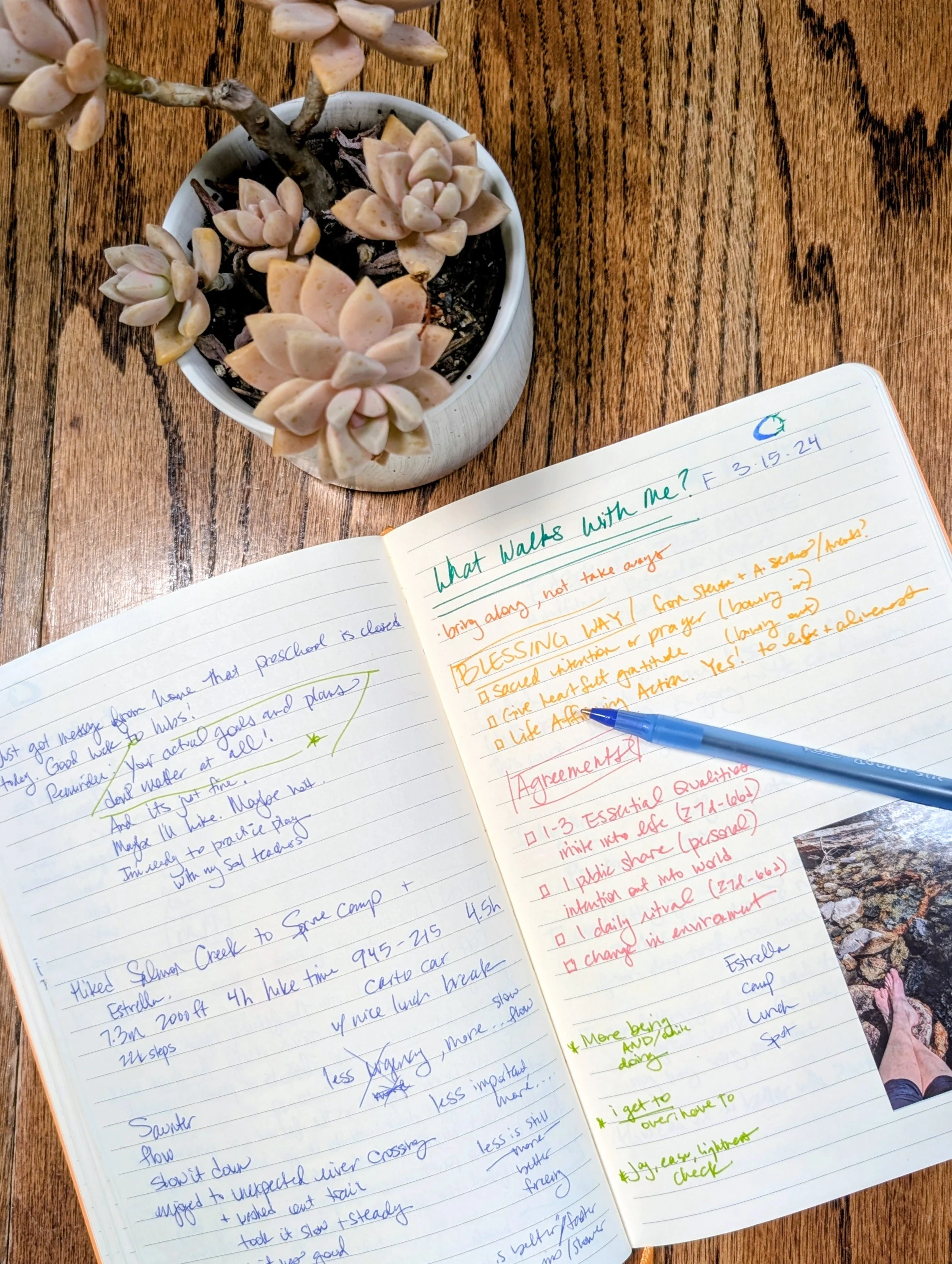 A Simple Daily Health Tracker (Free Download)