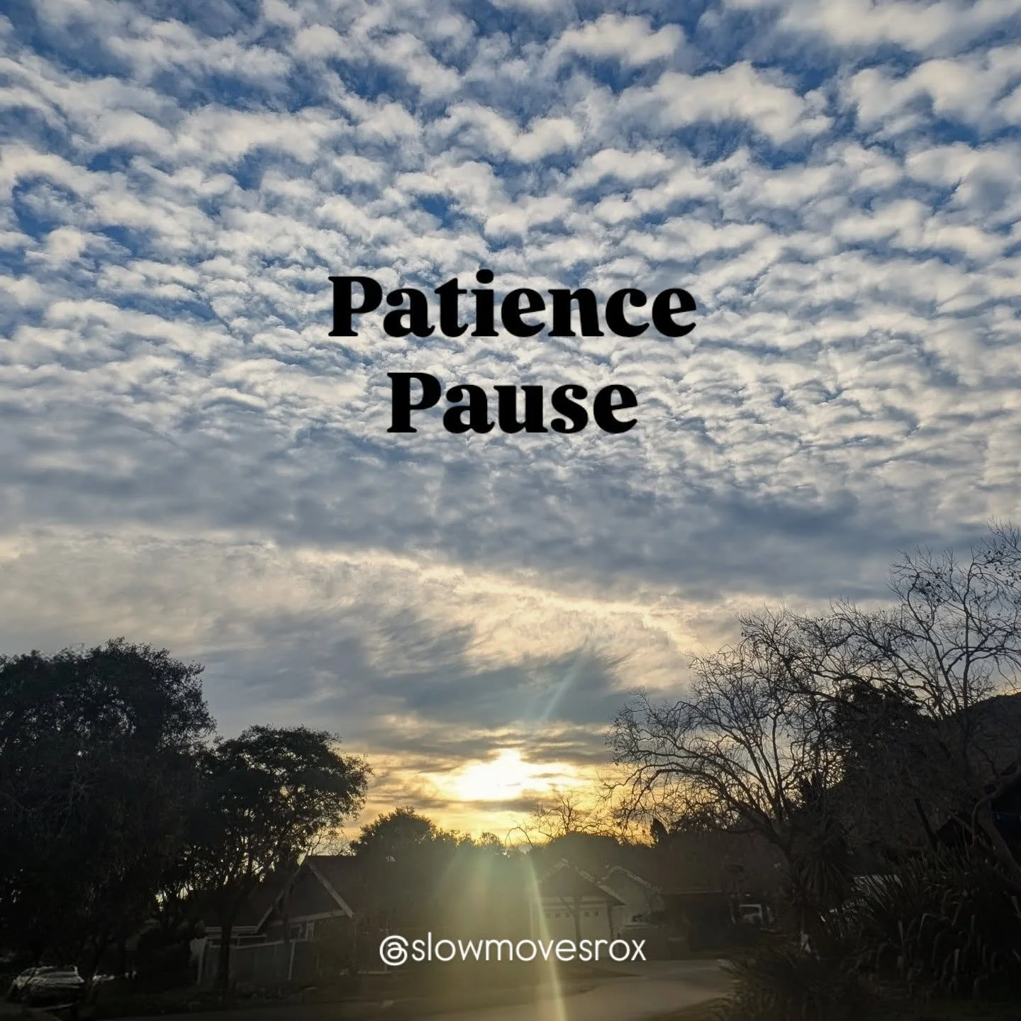 ⏸️ Patience Pause. Here is your invitation to pause and notice what it feels like to bring more patience into your body, your breath and your life. 

#SlowMovesRox 
#slowmovesroxwisdom 
#patienceisavirtue 
#patiencepause