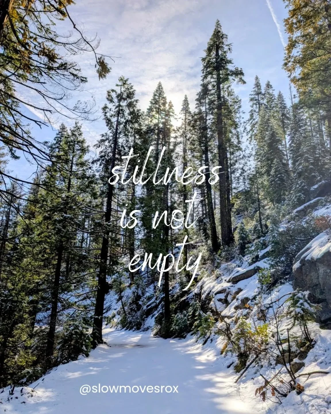 ❄️ Winter solstice reminds us that slowing down isn&rsquo;t falling behind&mdash;it&rsquo;s how we stay in rhythm with life. May you walk gently and trust the return of the light. 🌑✨

#WinterSolstice
#SlowMovesRox
#SeasonalLiving
#HonoringTheDark
#m