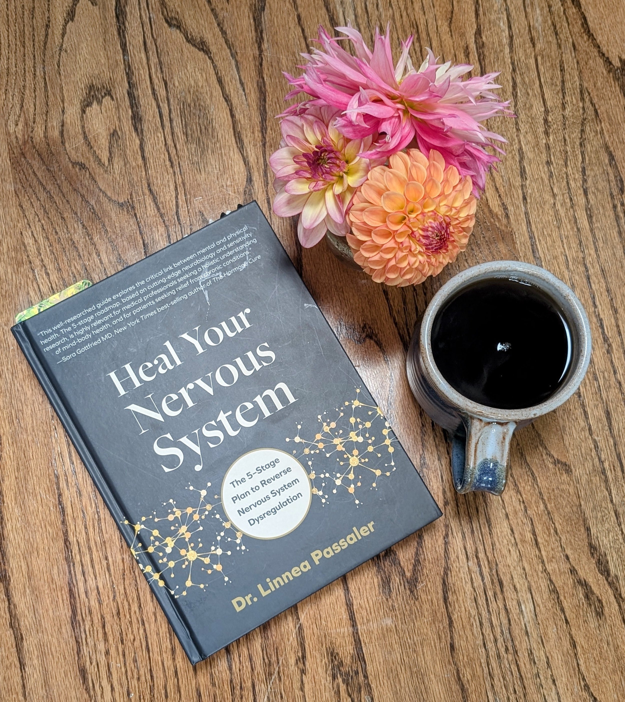 Why Healing Your Nervous System Might Be The Missing Piece 