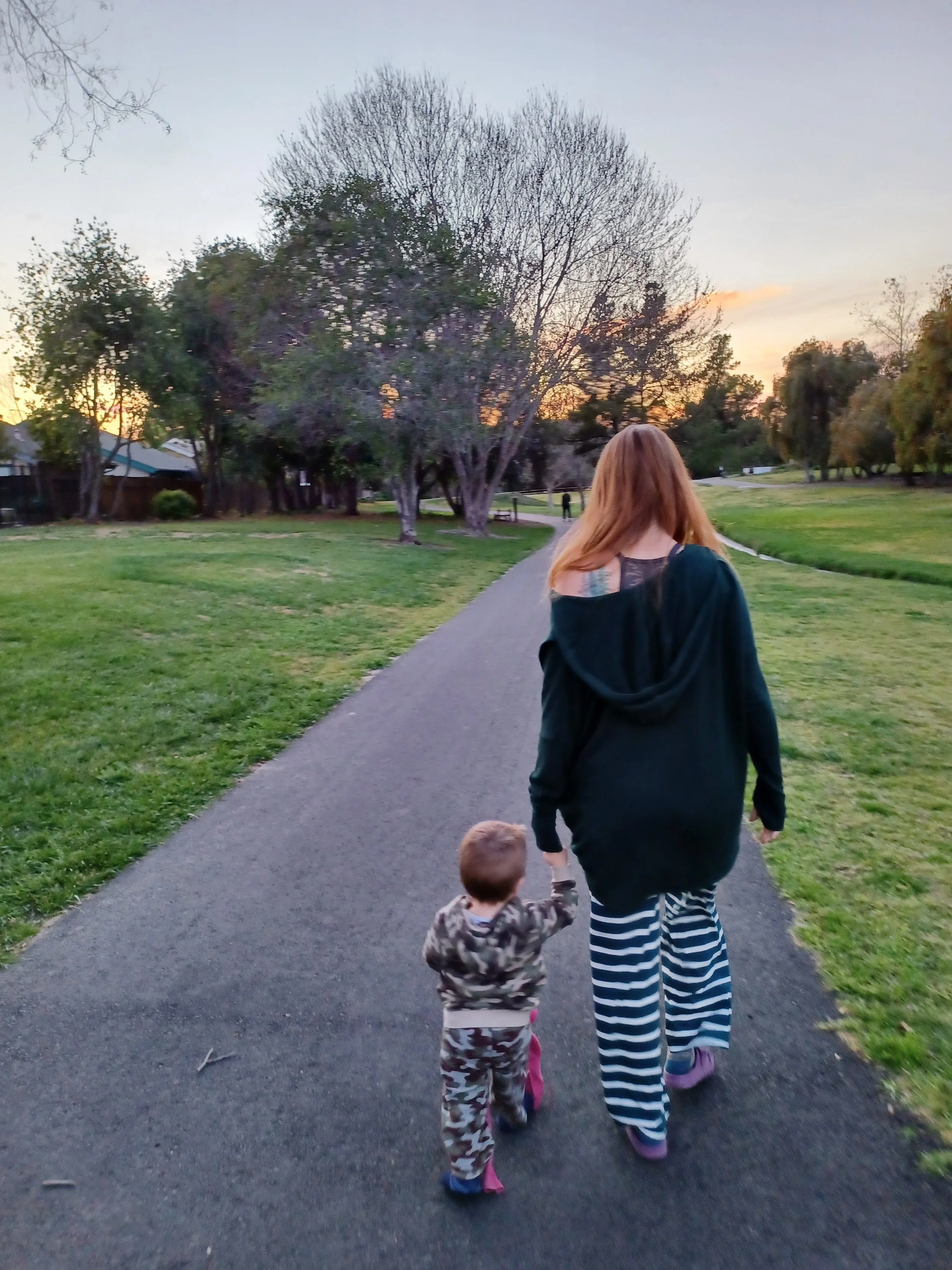 mom son walk