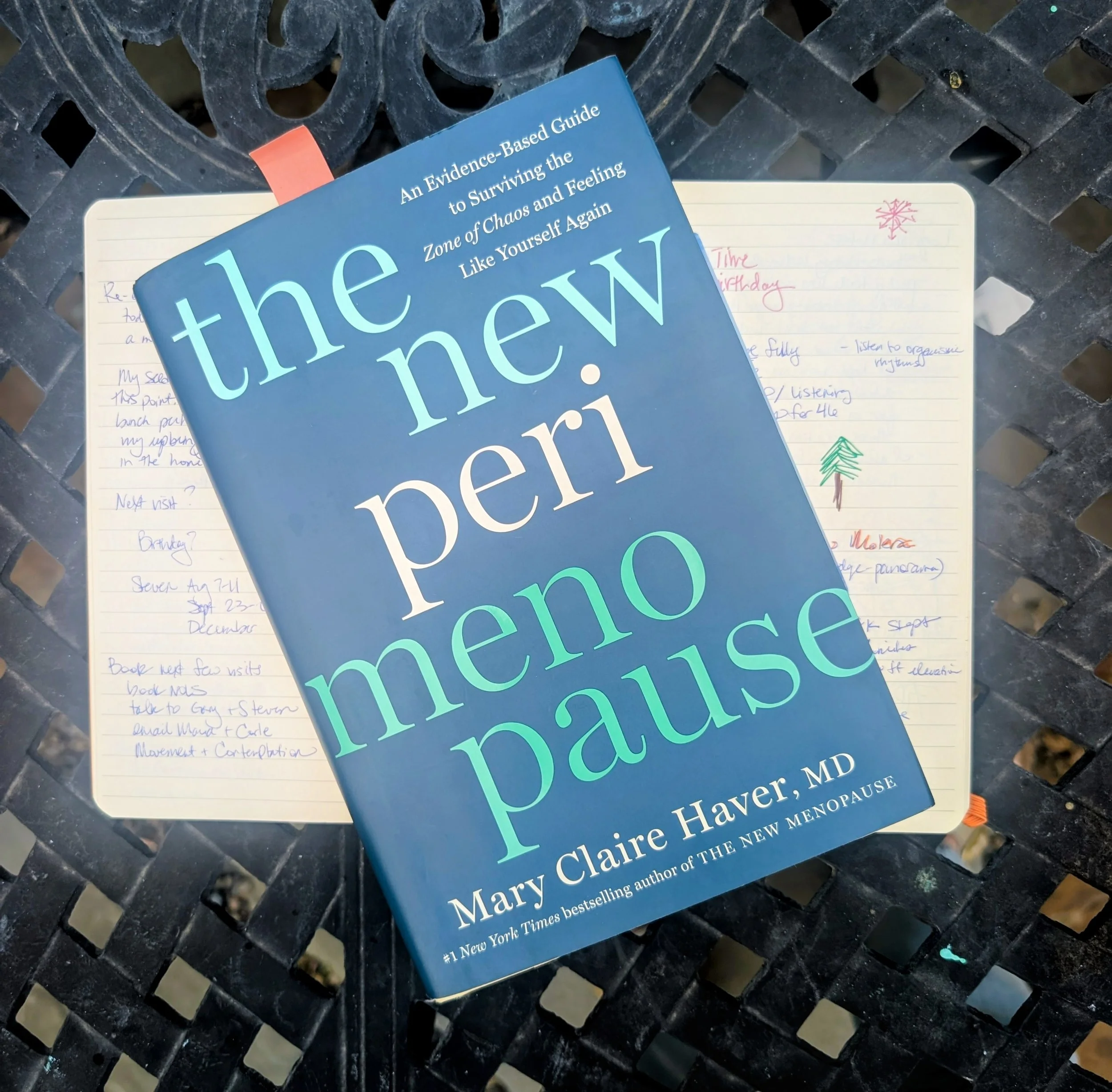cover new perimenopause book