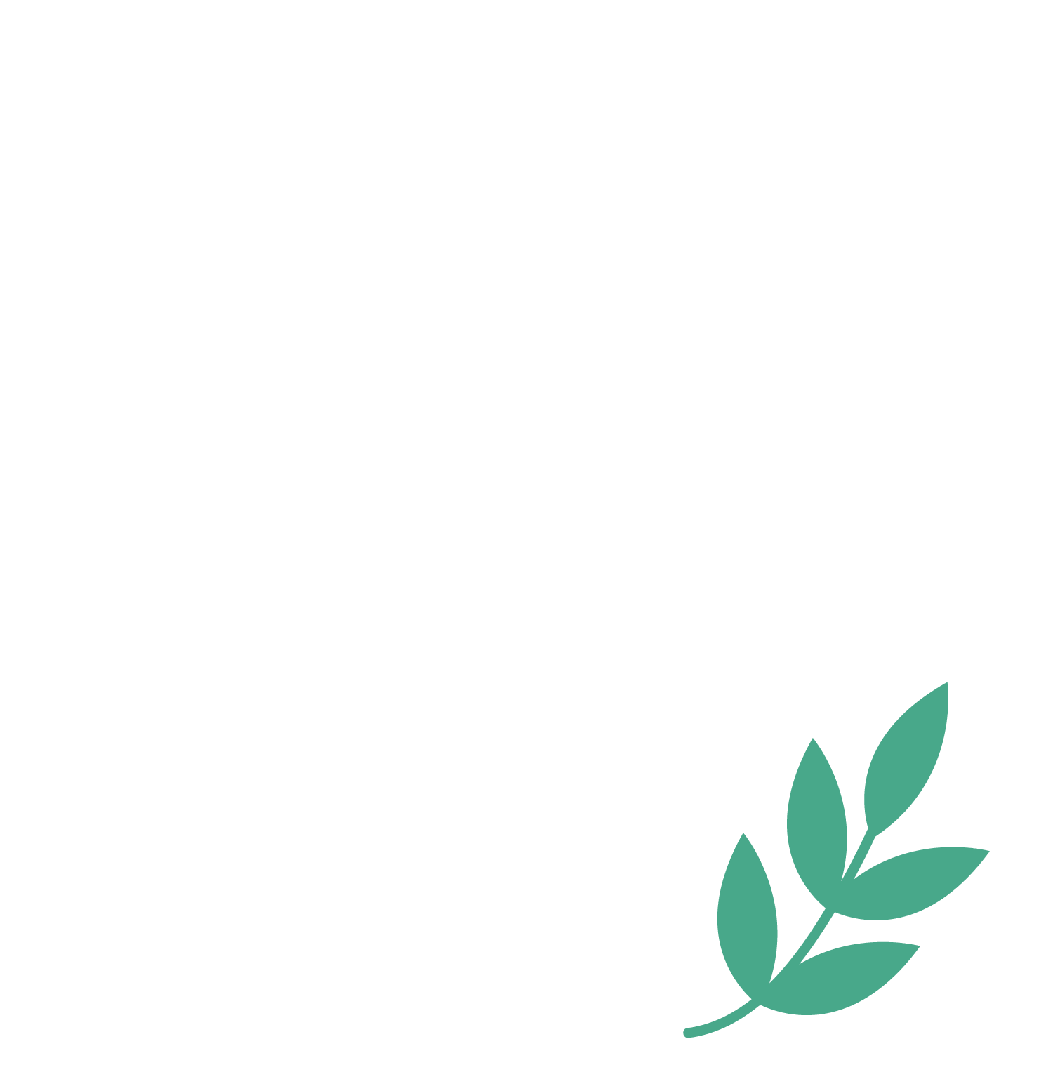 Slow Moves Rox | Movement Inspiration from San Luis Obispo, CA