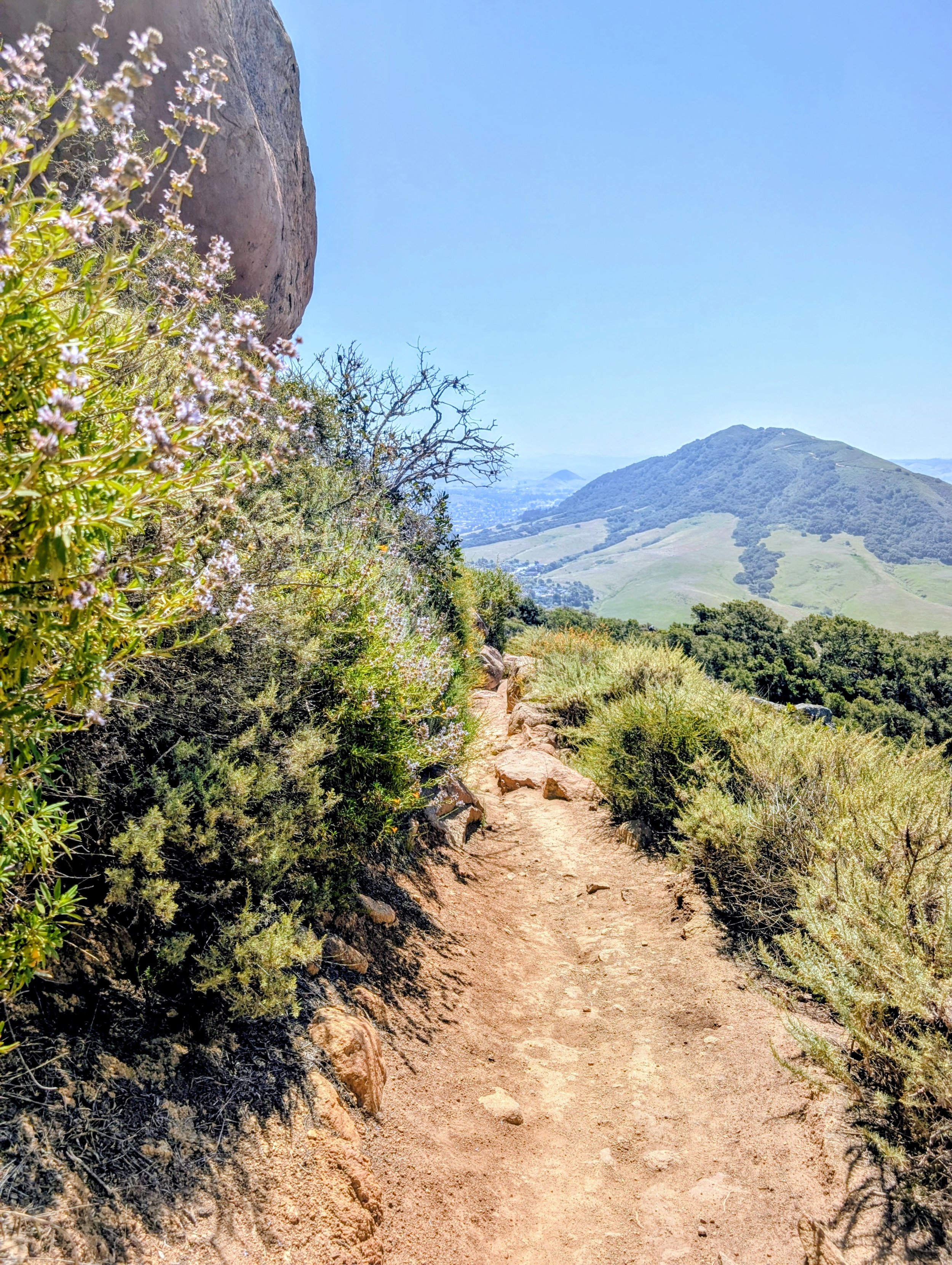 curving trail view of madonna mountain