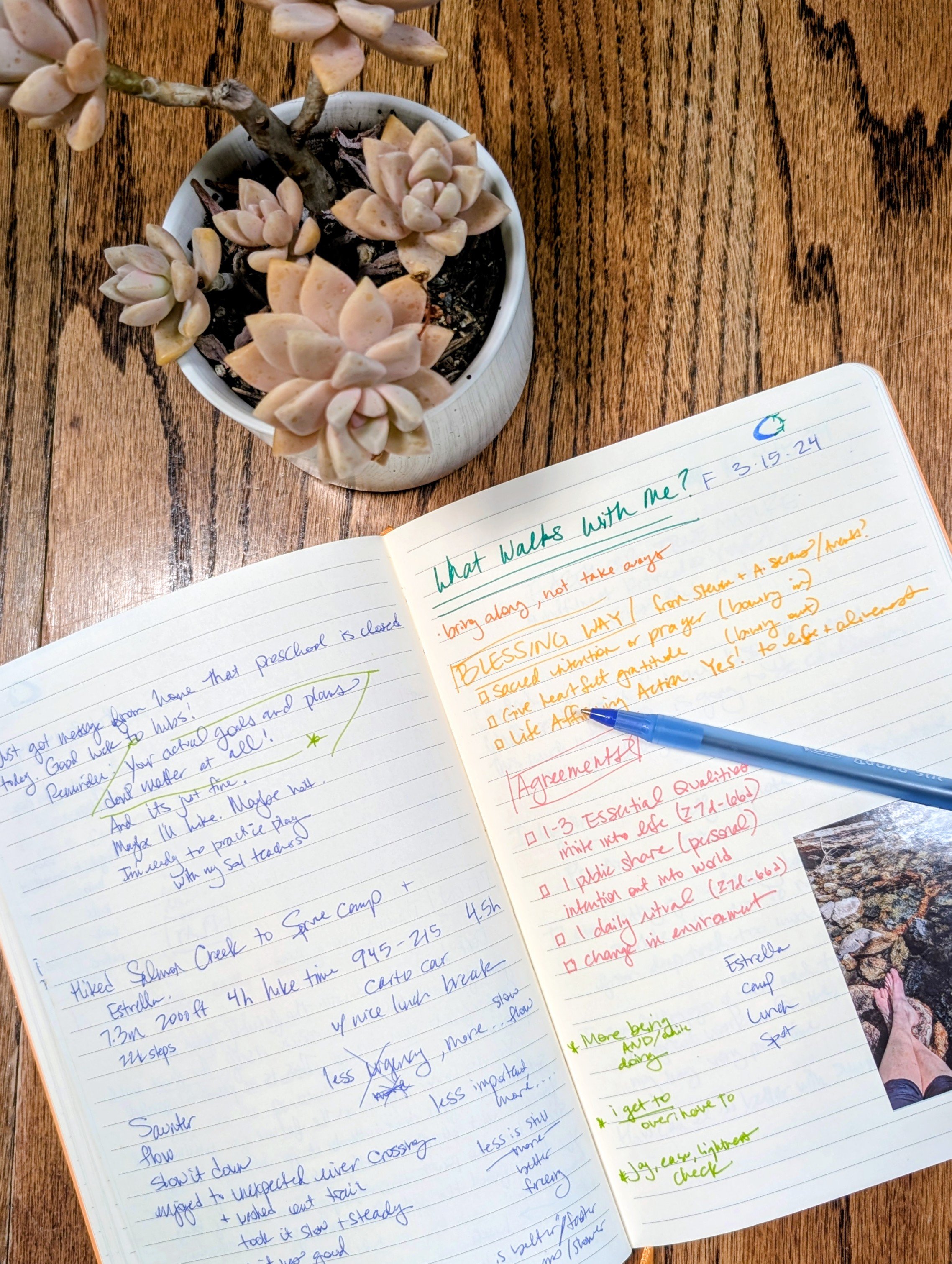 journal pen succulent table