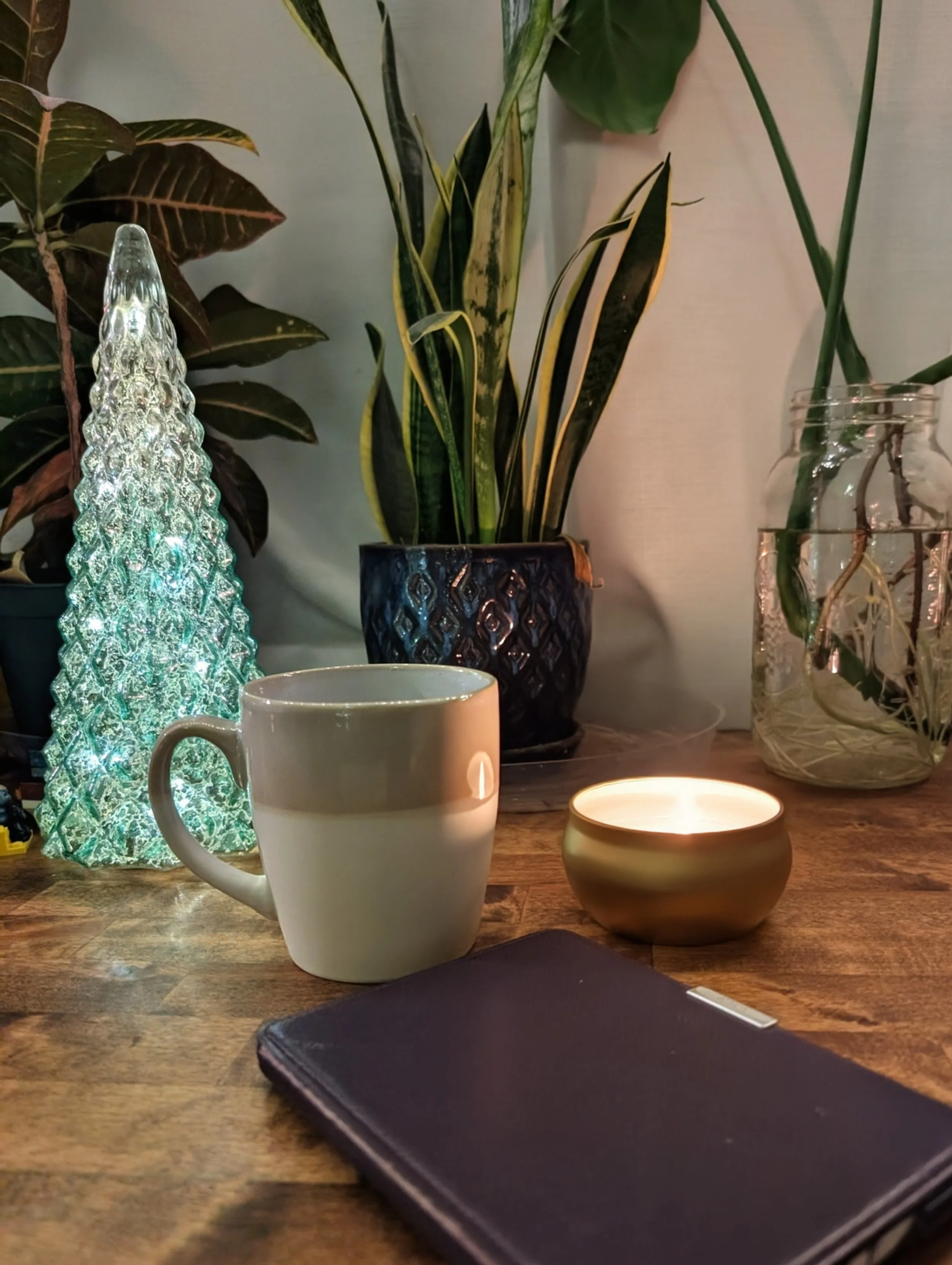 tea candle book plants