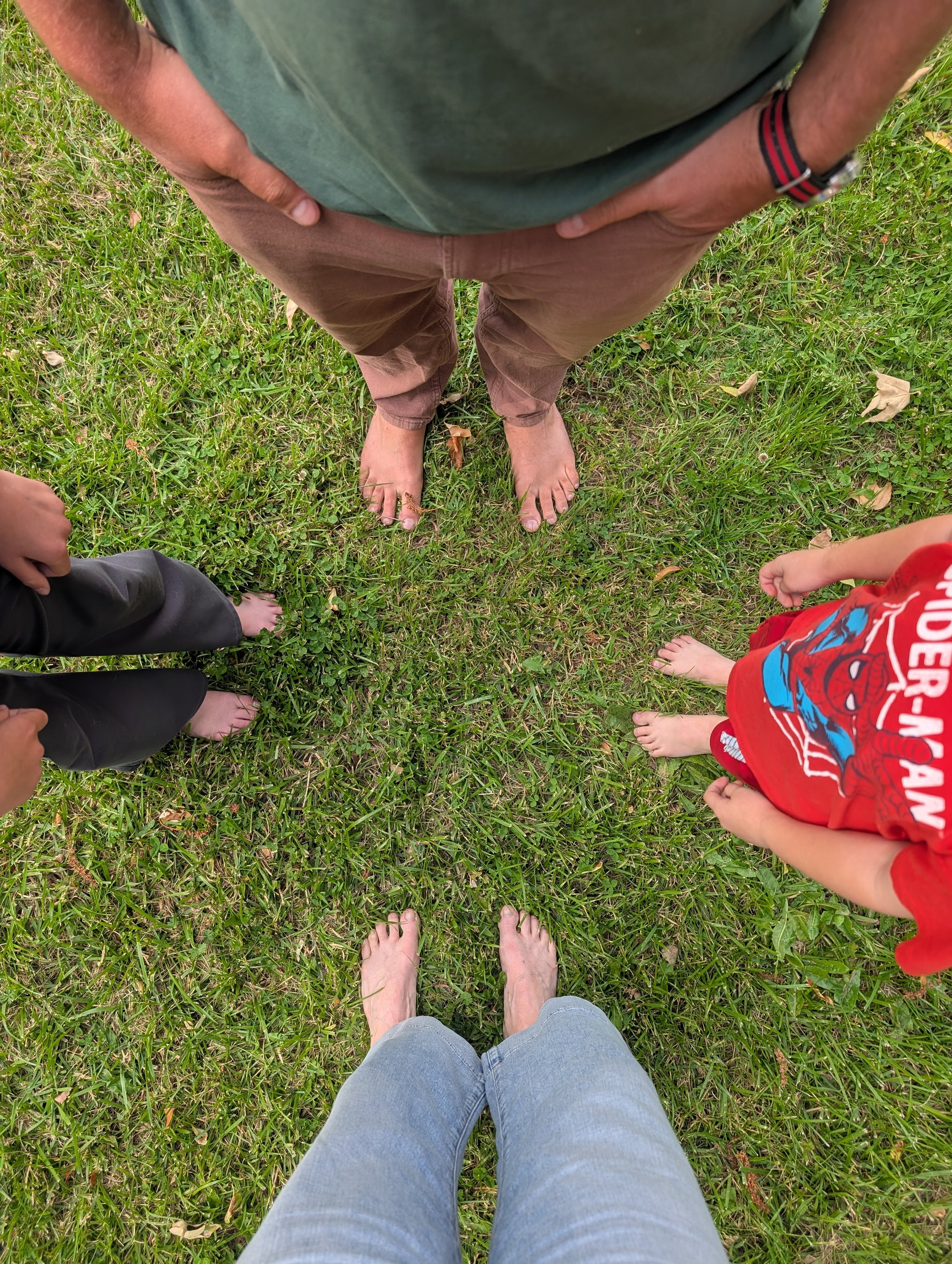 feet grass family