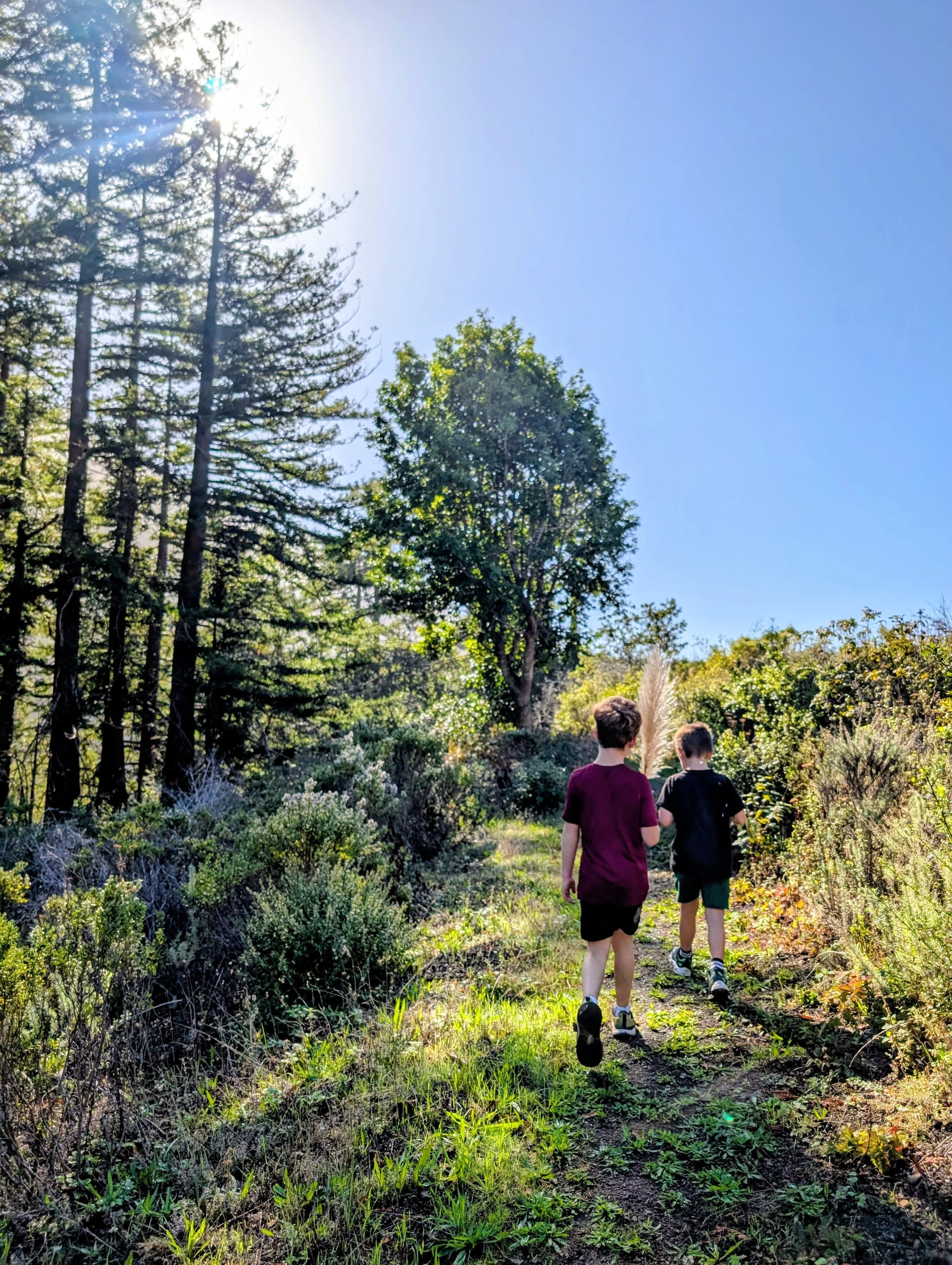 kids hike big sur ca