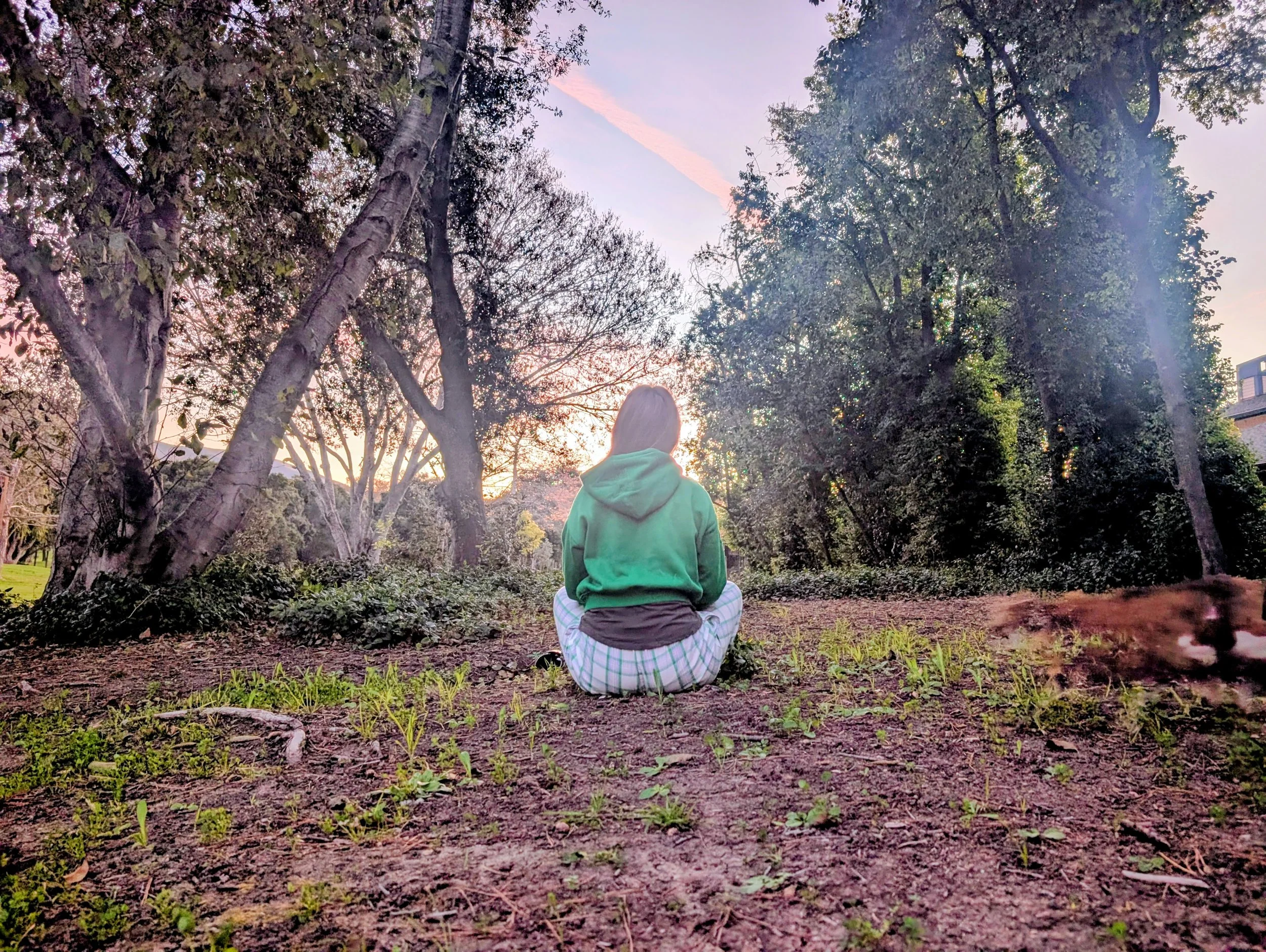 roxy sitting sunrise park pajamas