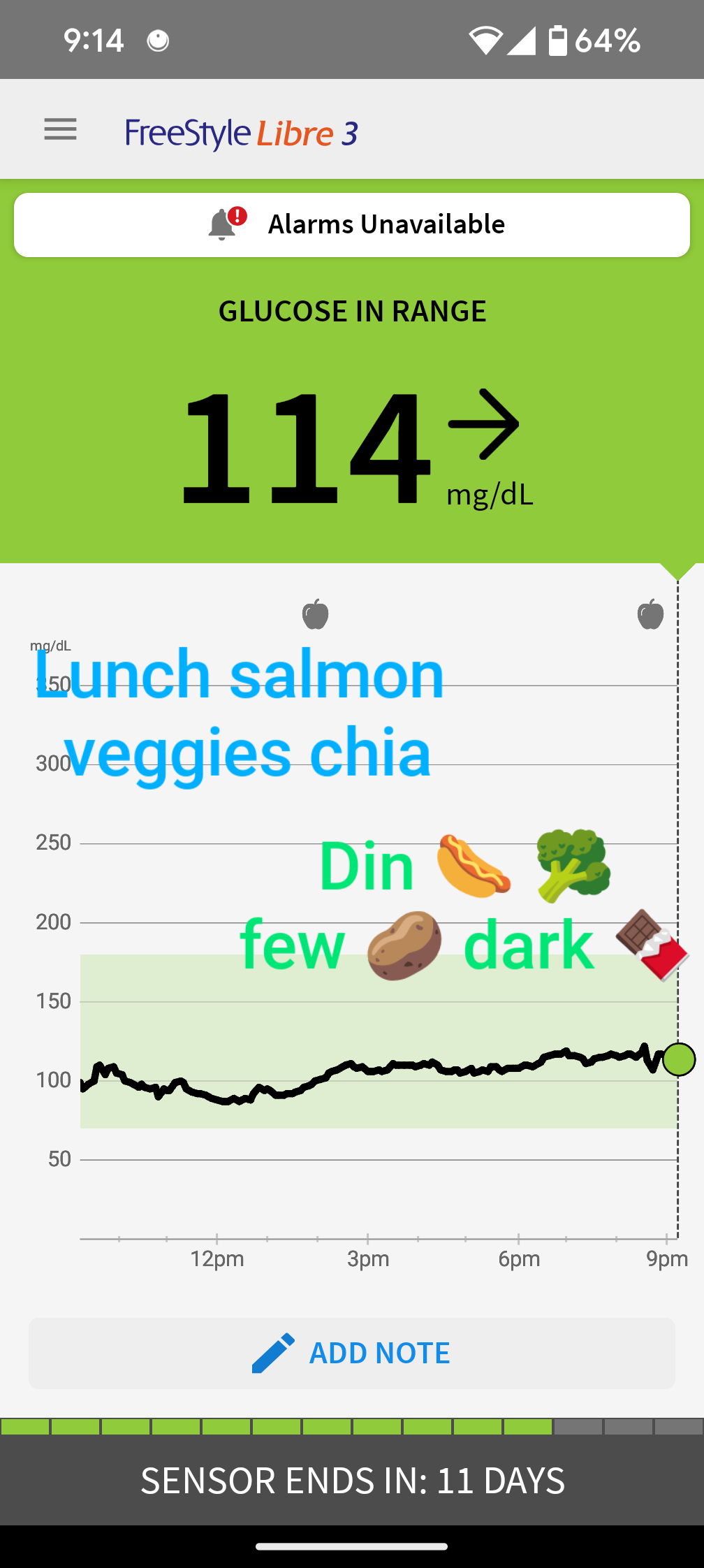 CGM Screenshot Healthy Day