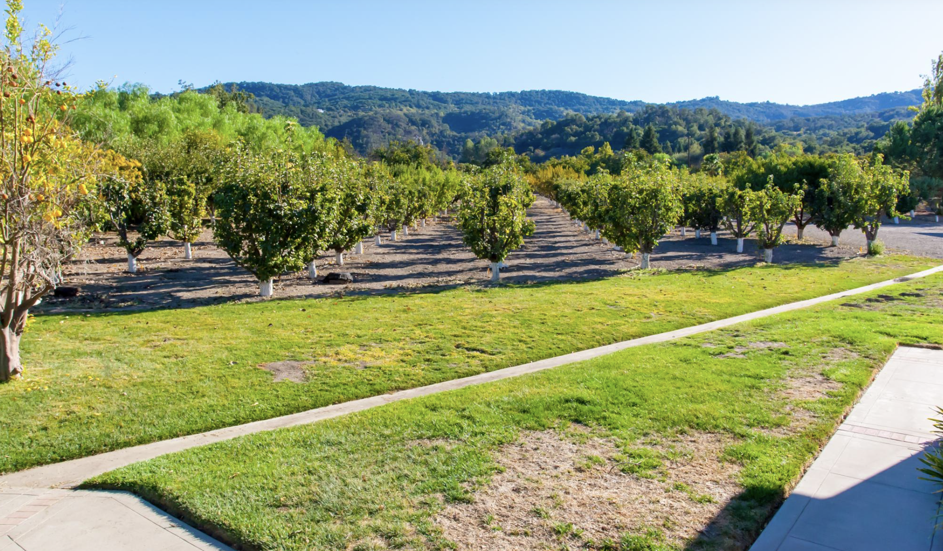 Spaciousness to explore the grounds