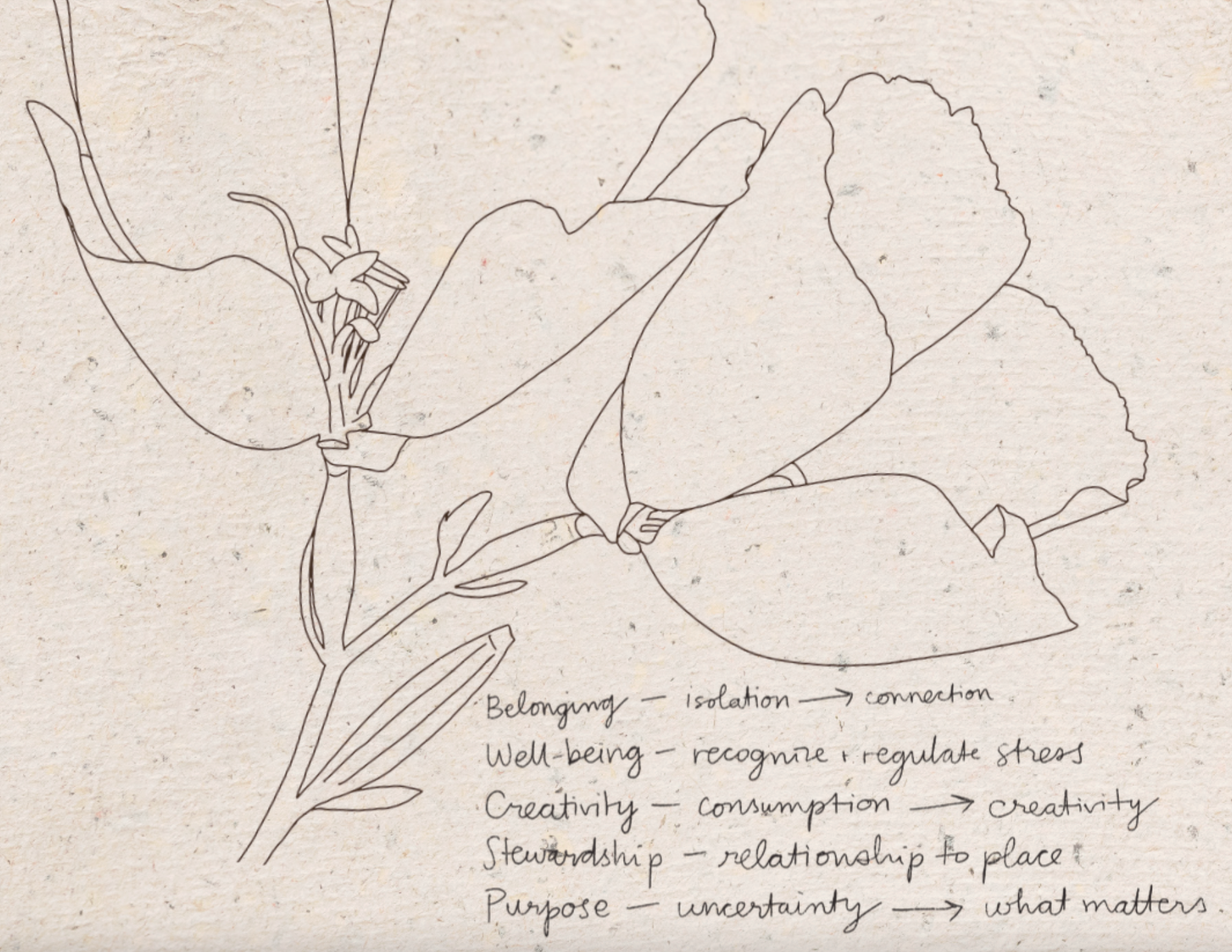 art and nature journaling in Yosemite