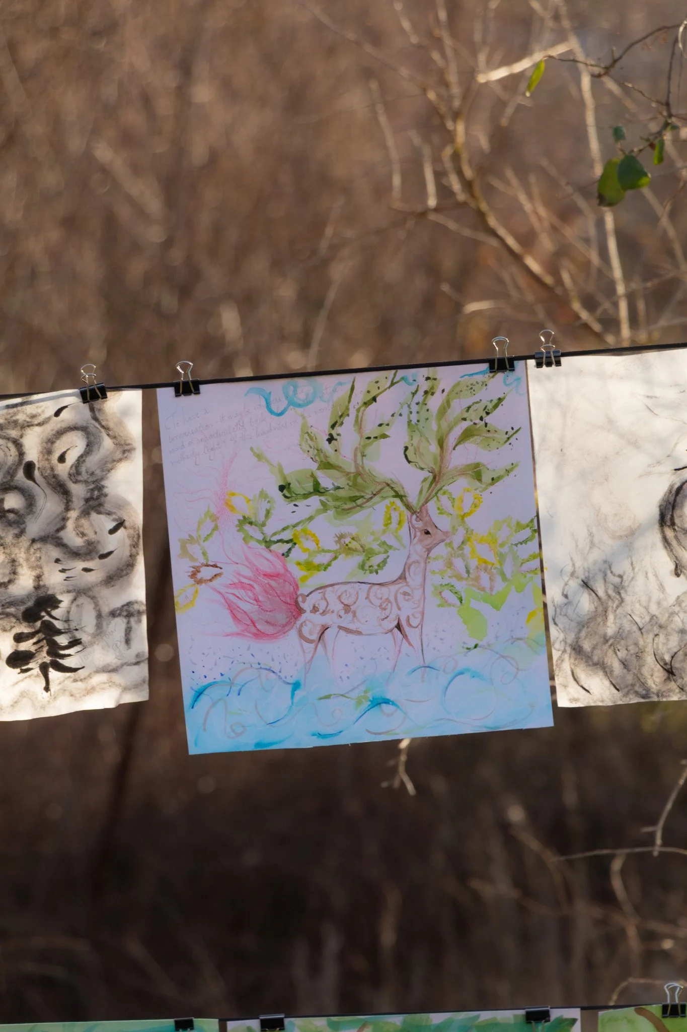 nature attention and sensory reflection