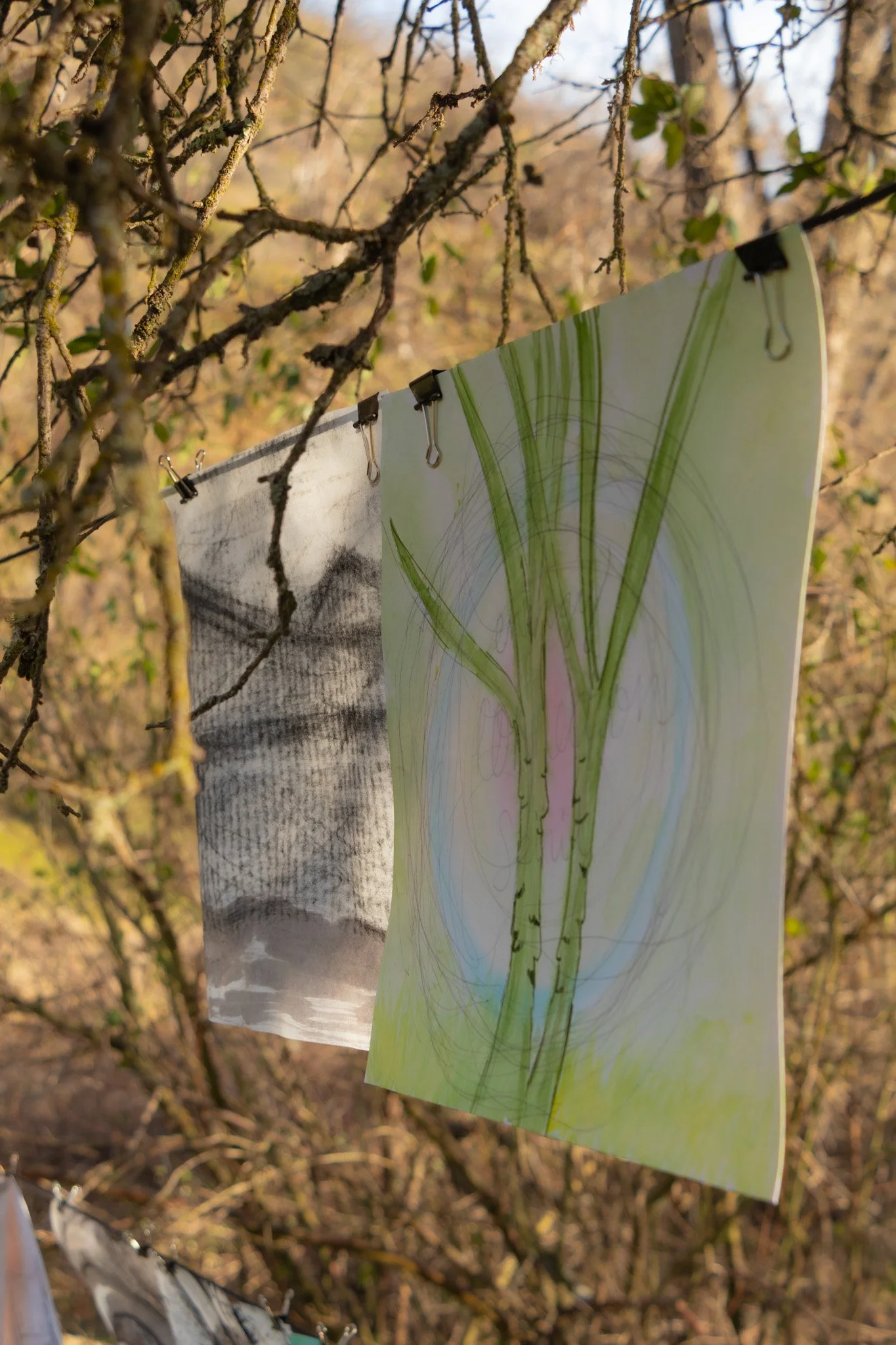 forest prayer flags installation in woods