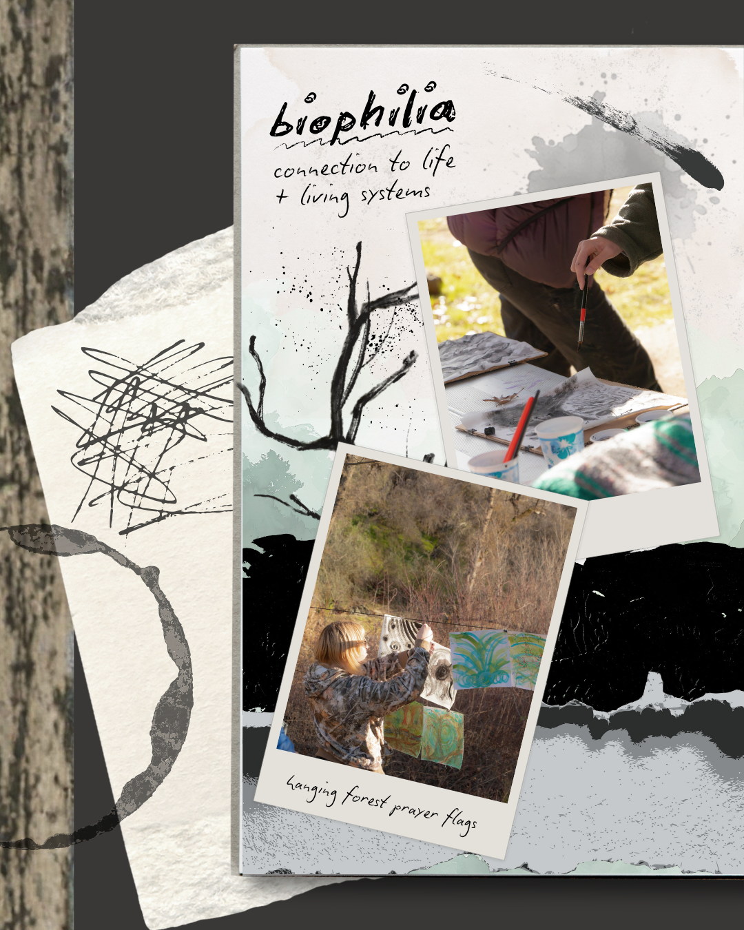 Forestsong recap carousel.png