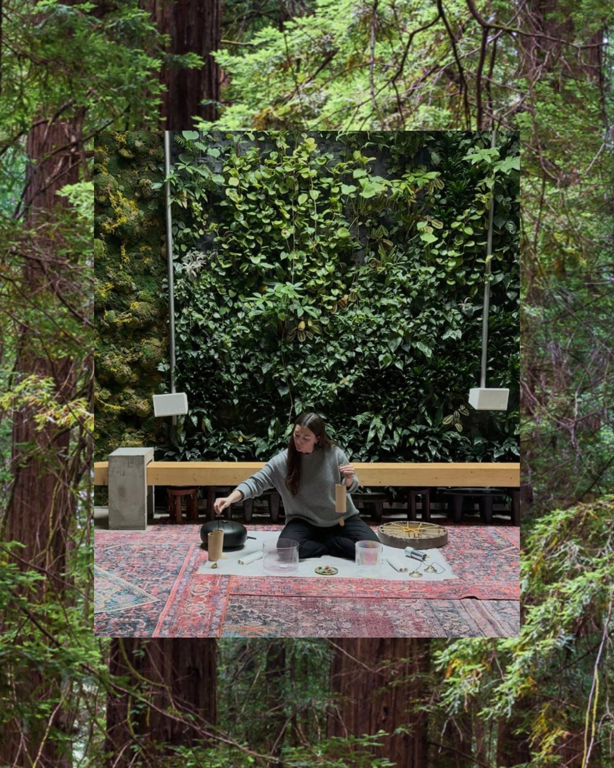 Sound, Silence, and Nature: An Exploration in Deep Listening